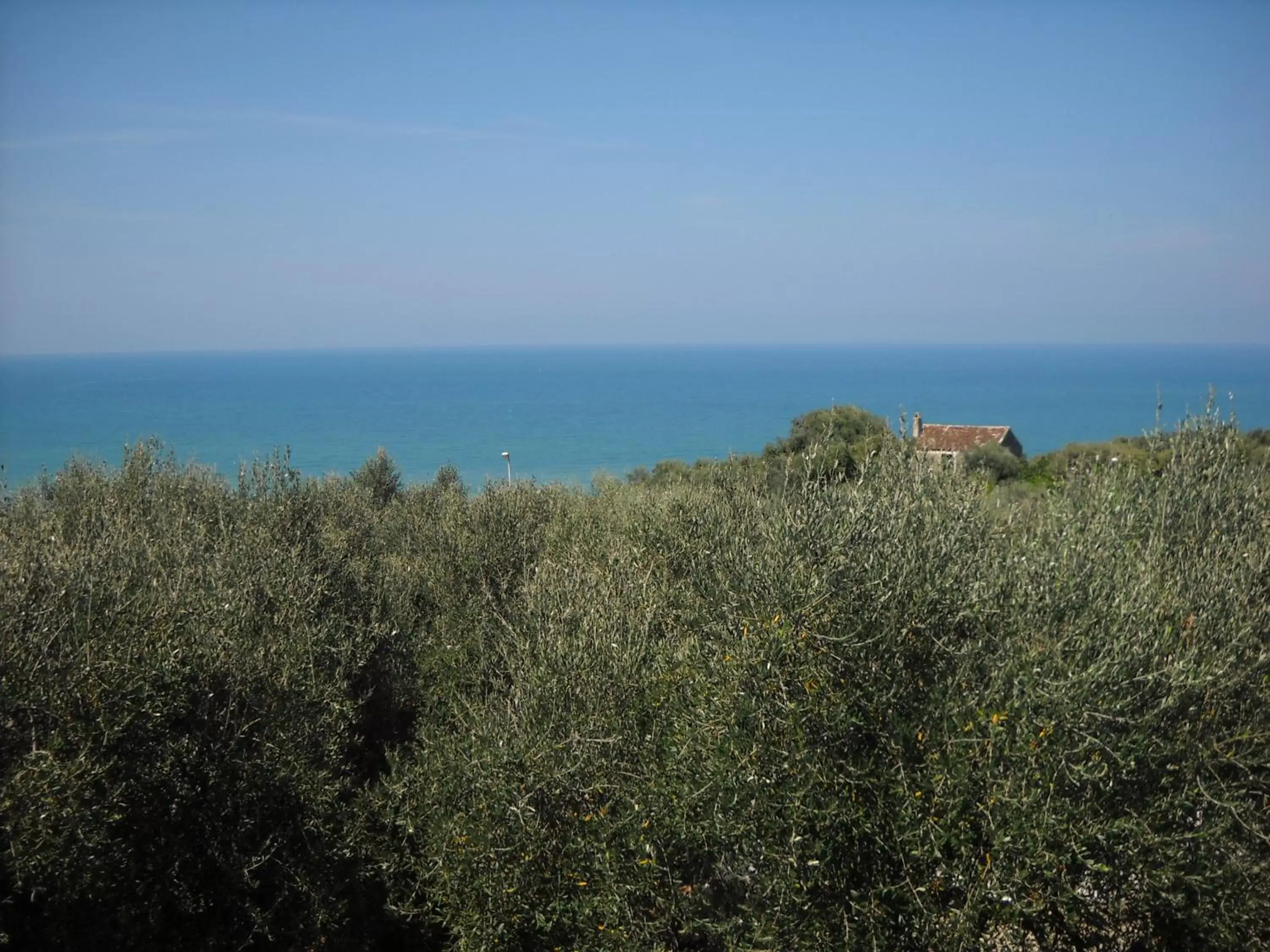 Garden view, Natural Landscape in Zagare Residence