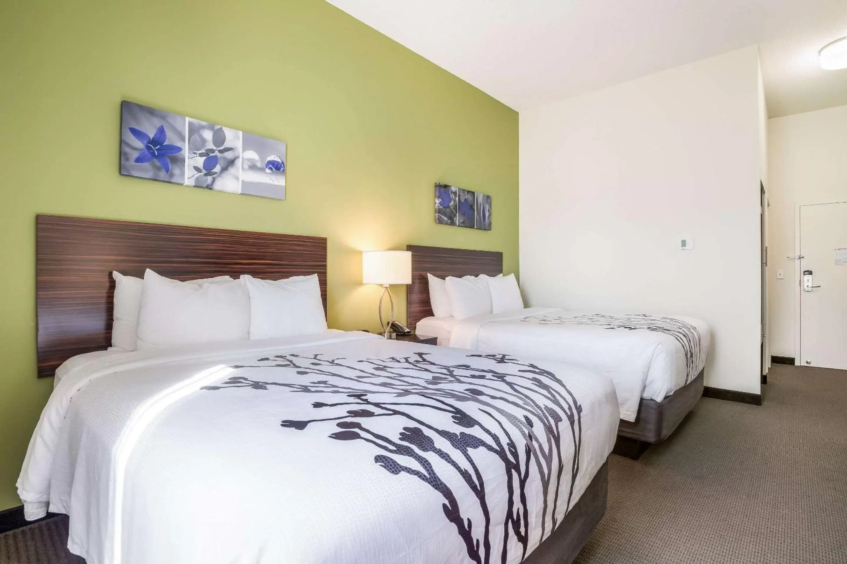 Photo of the whole room, Bed in Sleep Inn & Suites Park City-Wichita North