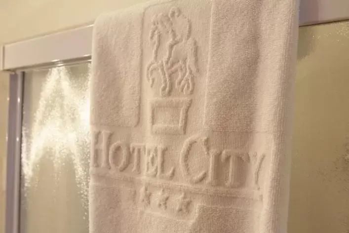 Bathroom in Hotel City