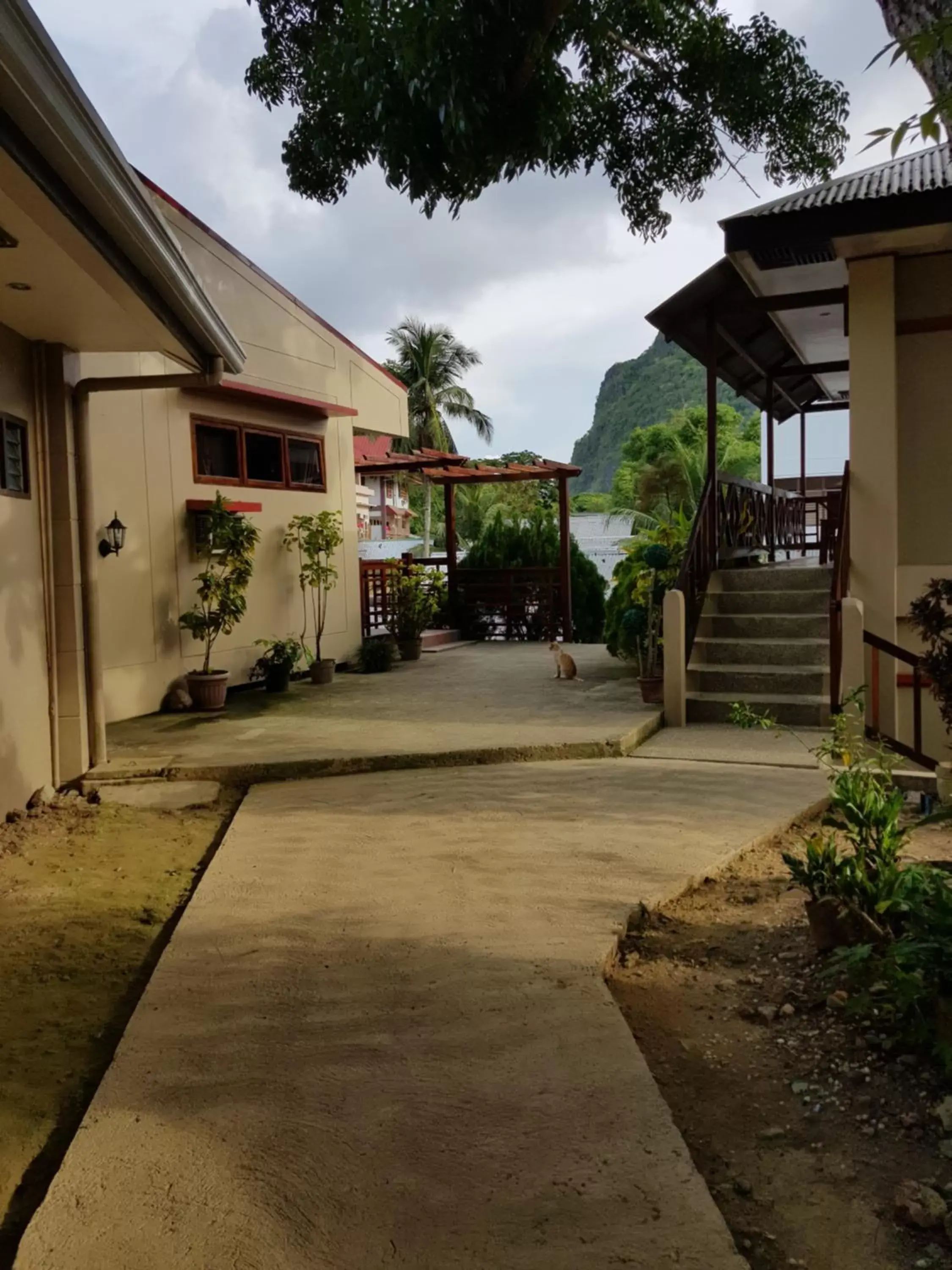 Natural landscape, Property Building in Inngo Tourist Inn