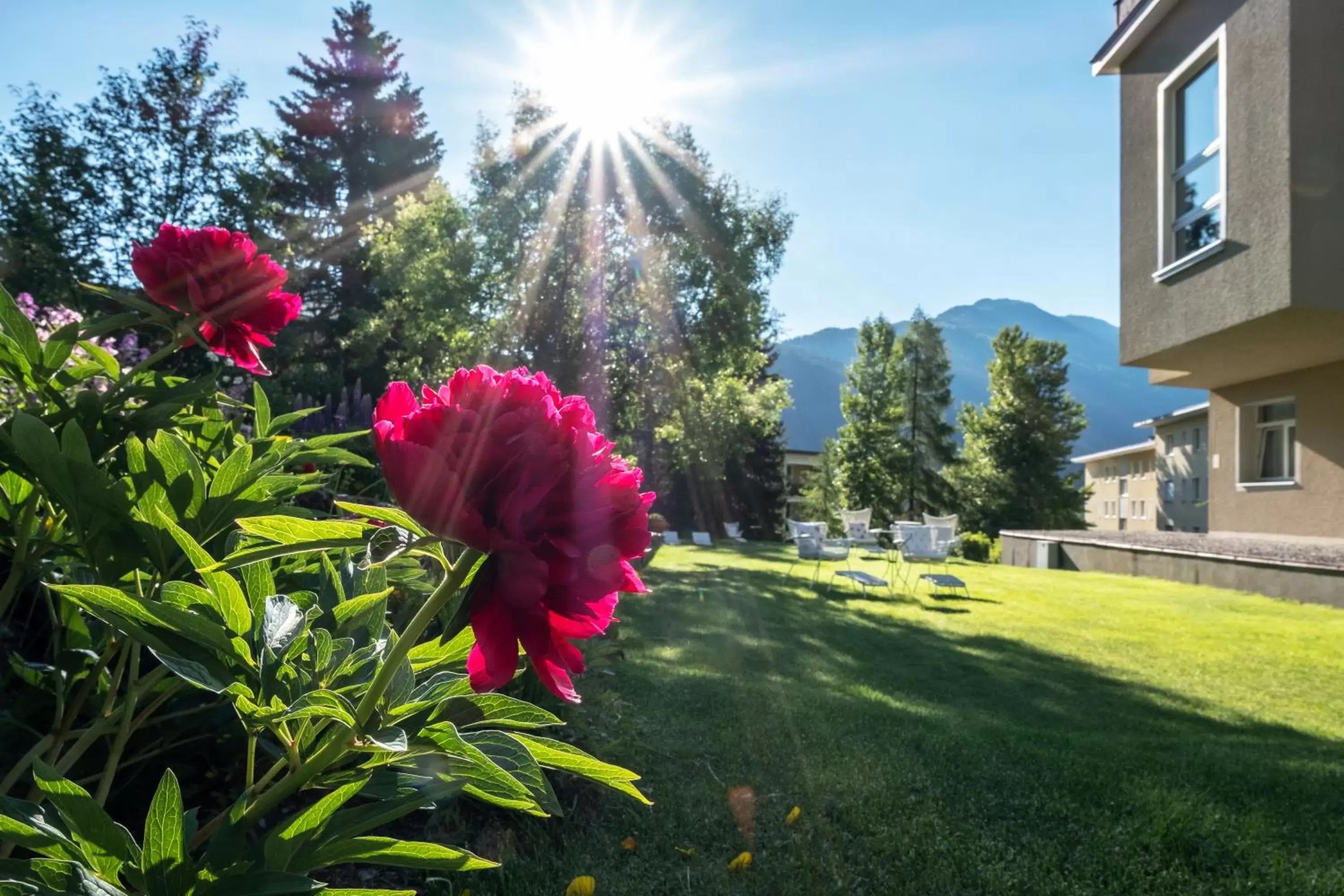 Garden in Hotel Edelweiss