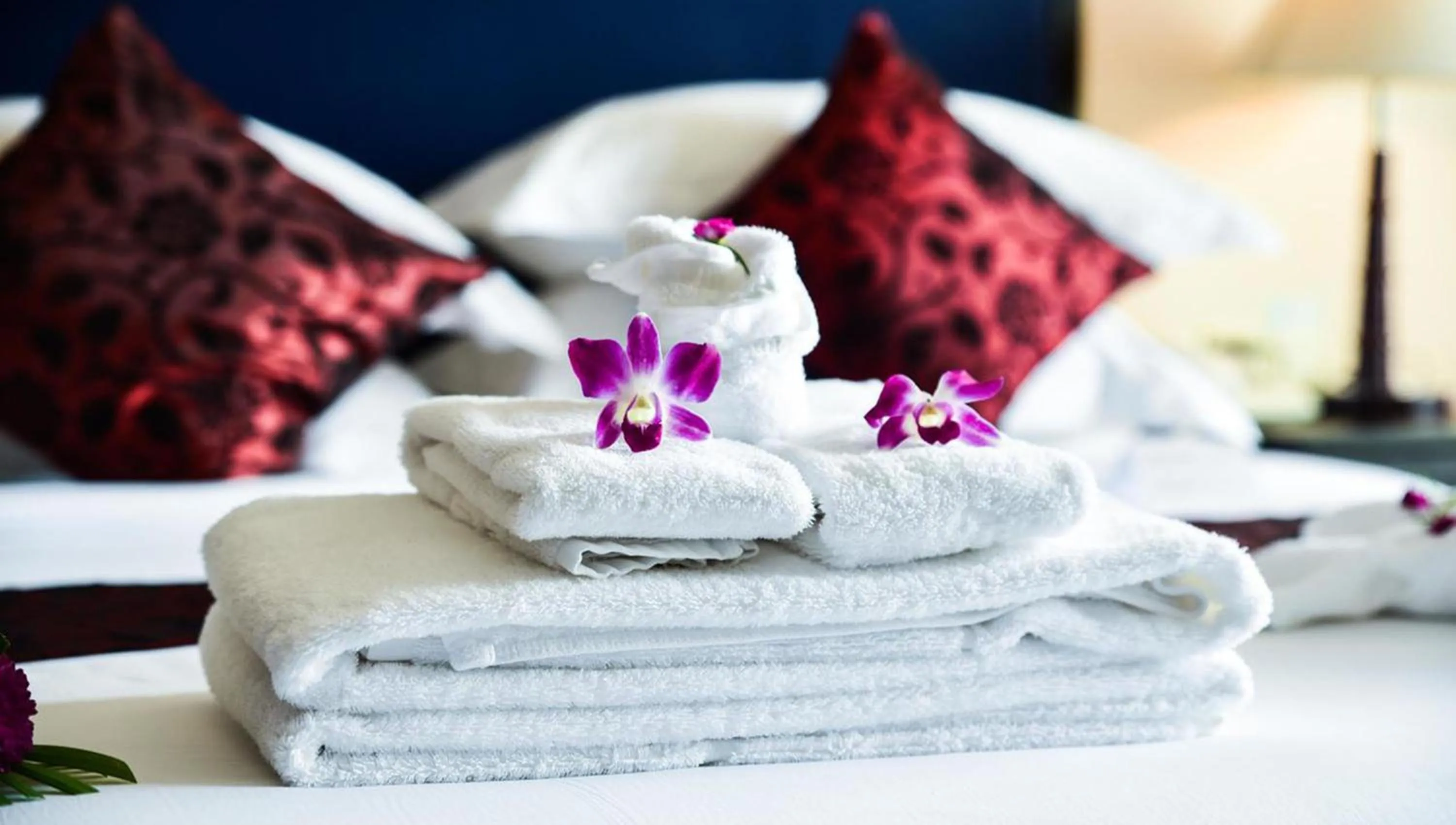 Other, Bed in Almond Hotel Sothearos