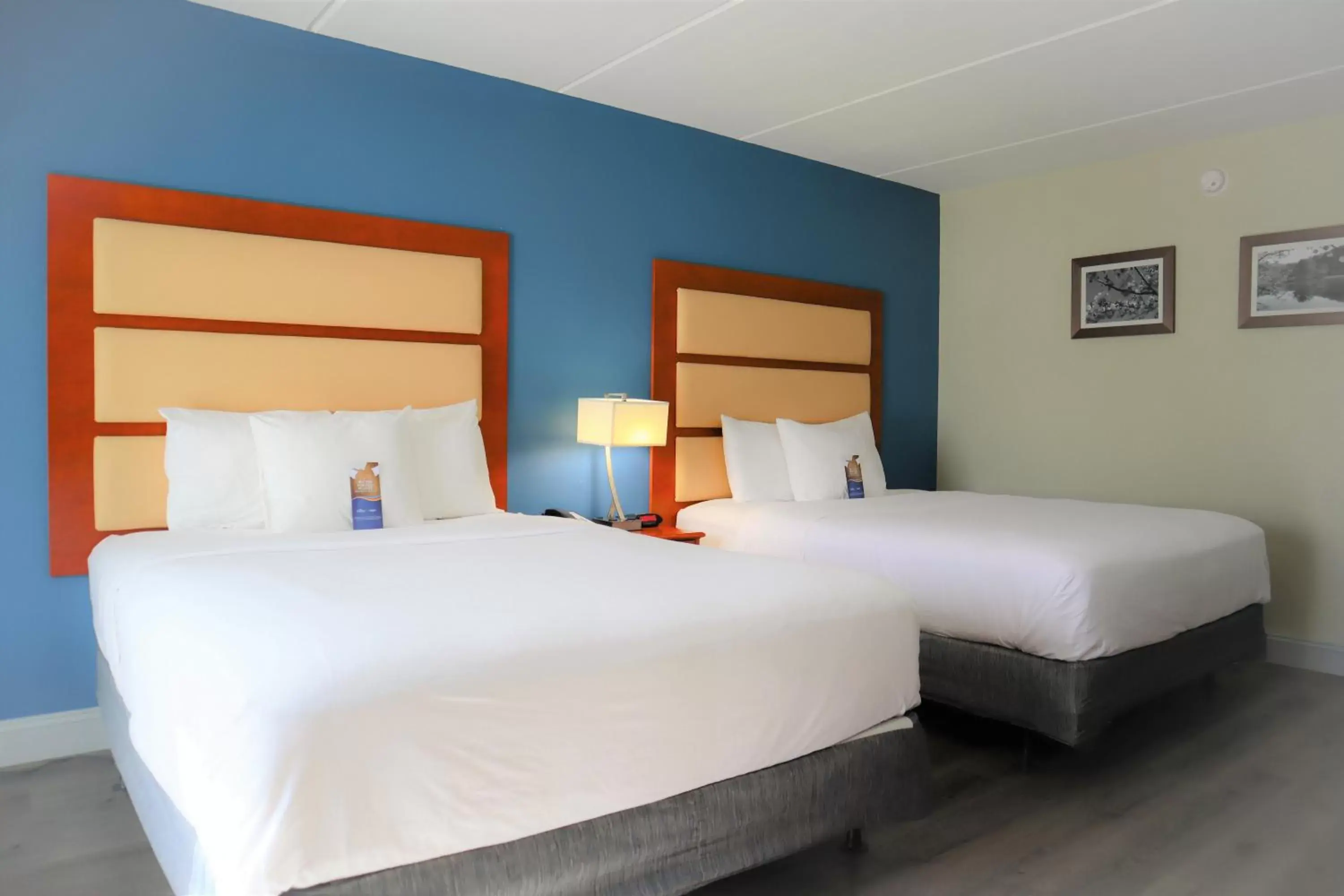 Bed in Baymont by Wyndham Norcross Atlanta Bed in Baymont by Wyndham Norcross Atlanta