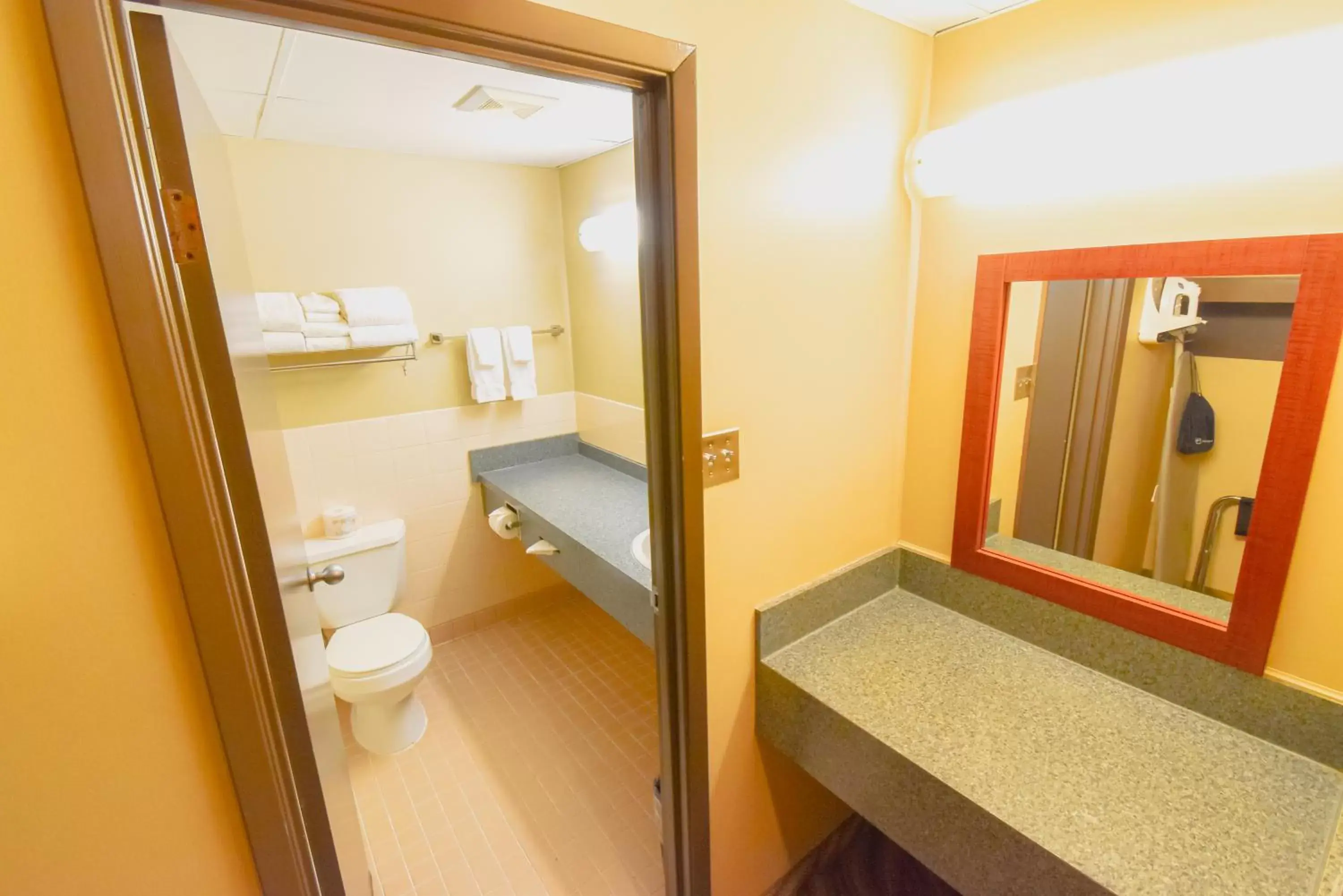 Bathroom in Canad Inns Destination Centre Garden City