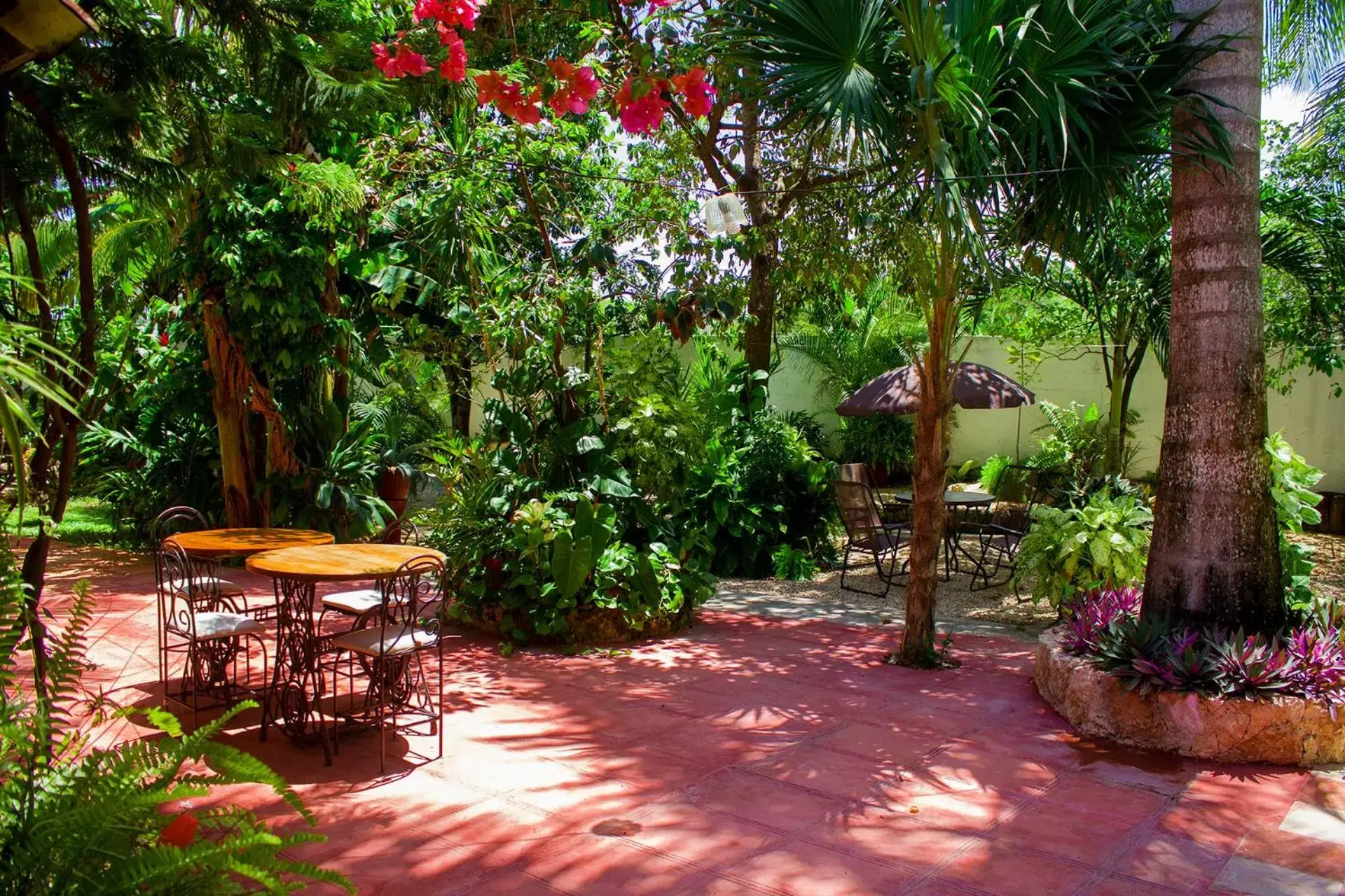 Patio, Garden in Casa De Los Pájaros - B&B