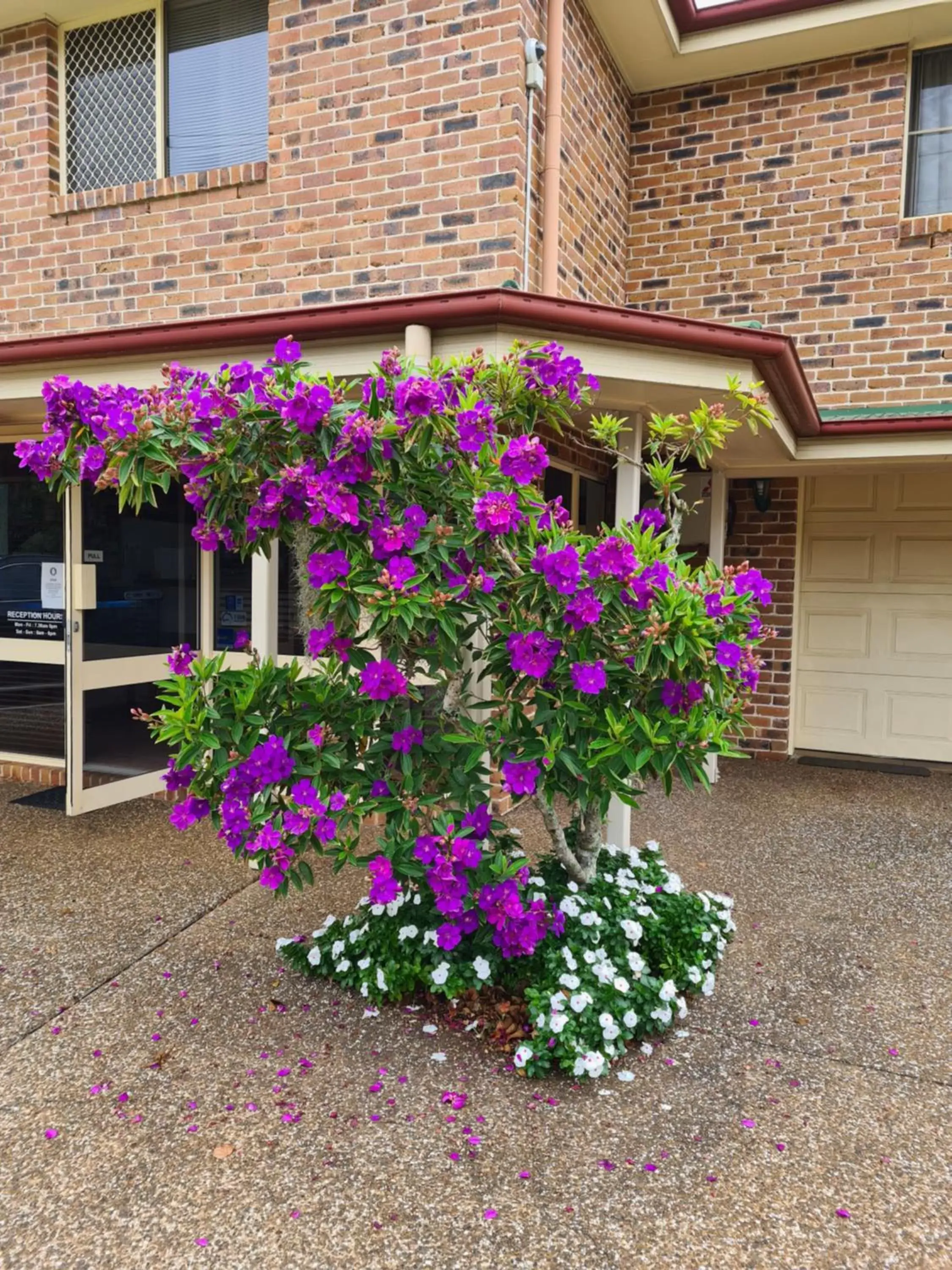 Property building in Country Gardens Motor Inn