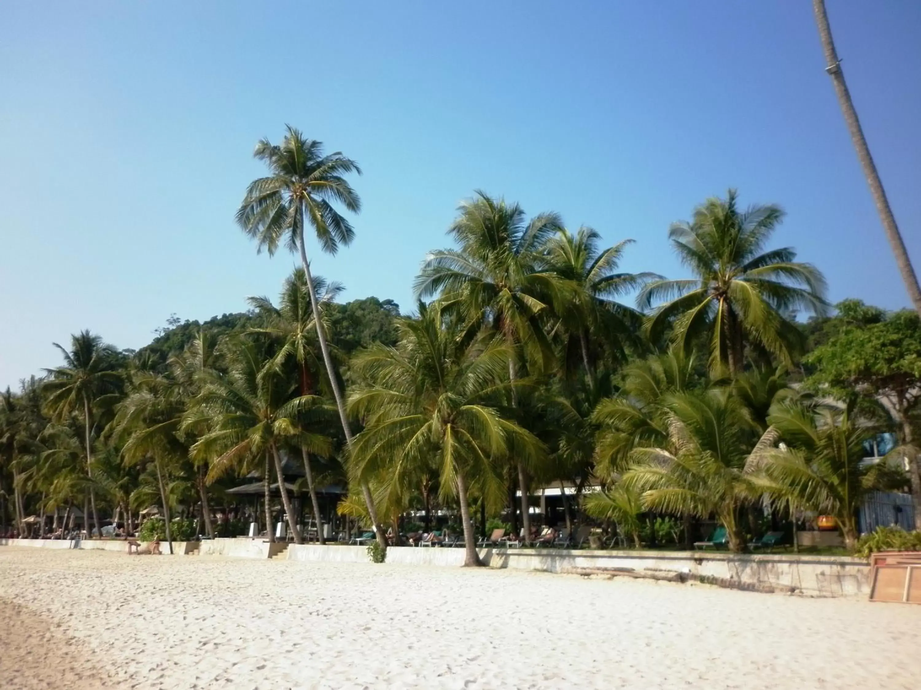 Beach in Island Lodge