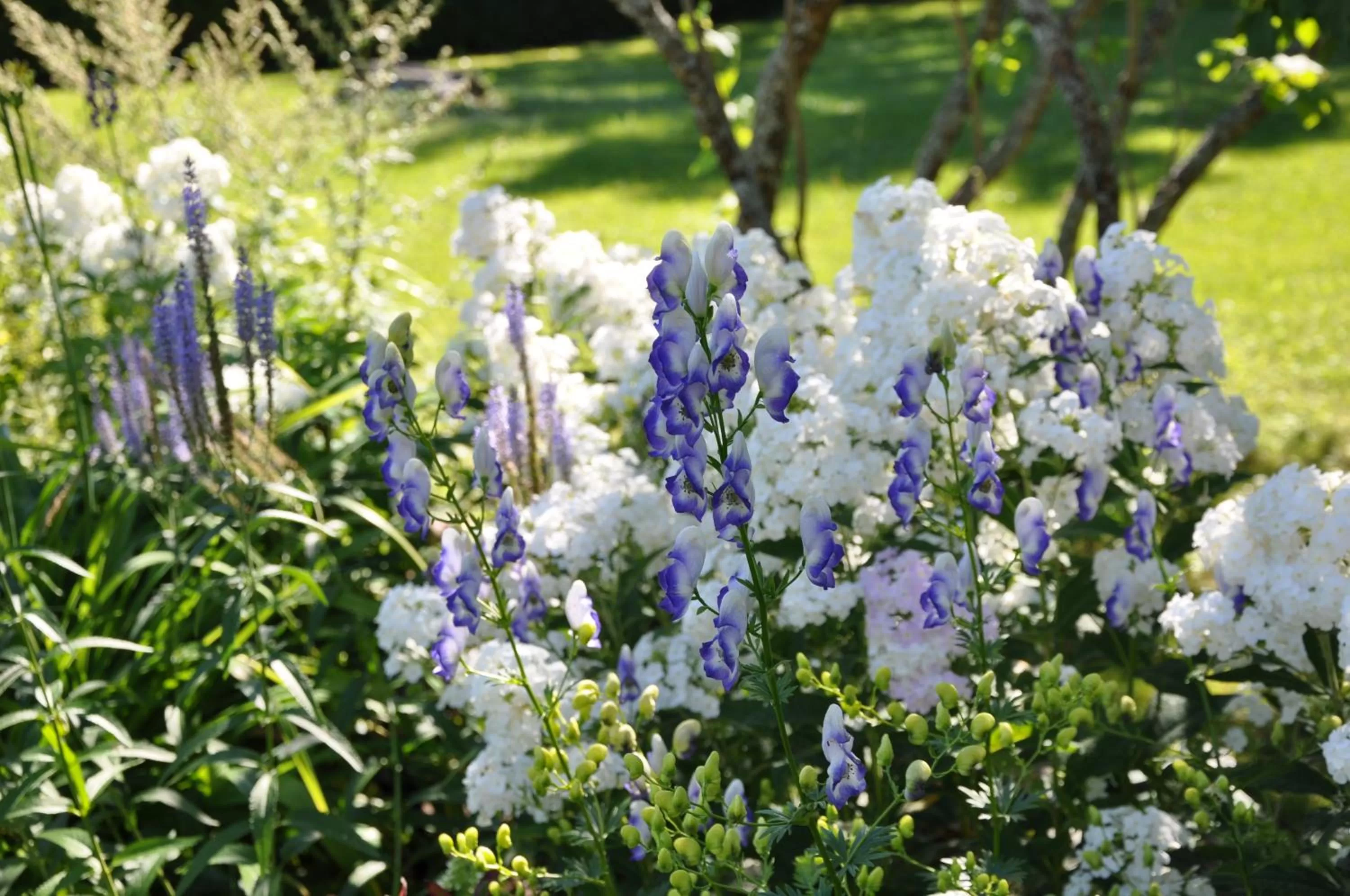 Property building in Auberge sur la Côte