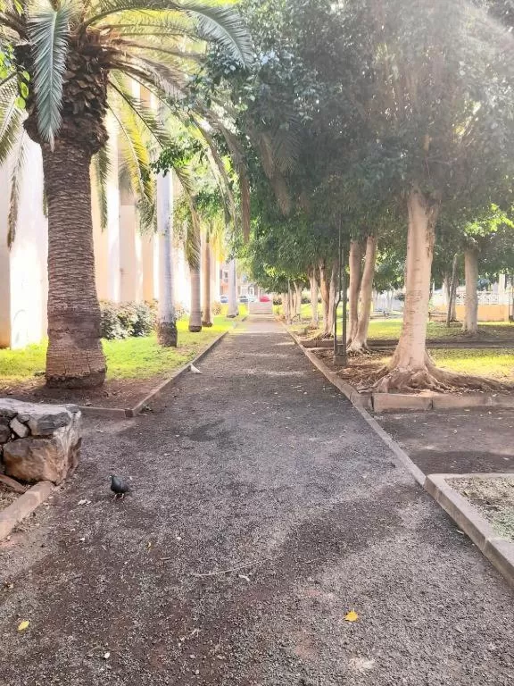 Garden in Alfa Omega (VALLE-LUZ)