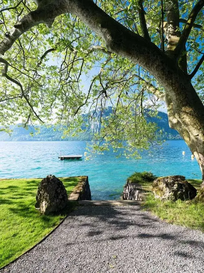 Natural landscape in Campus Hotel Hertenstein