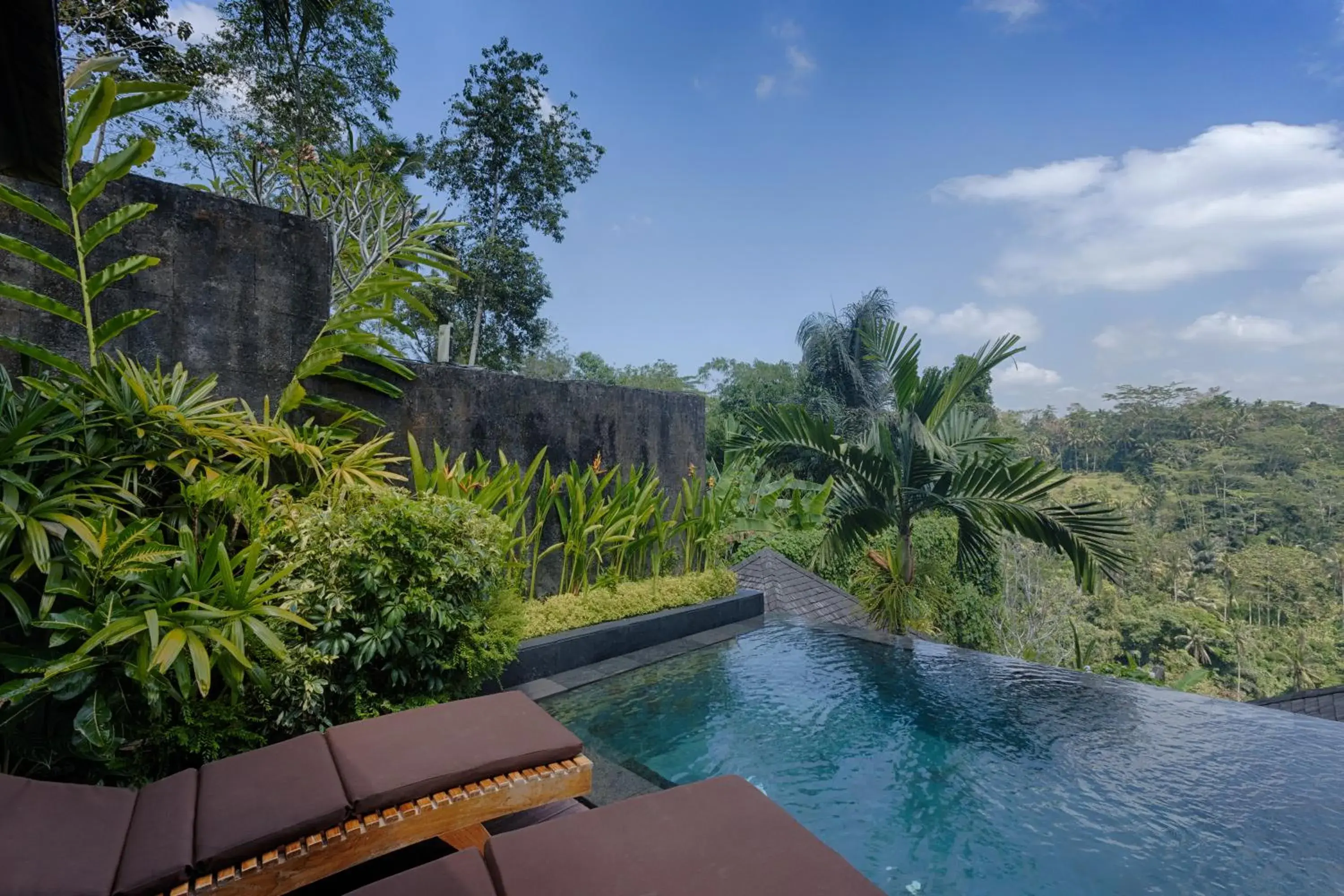 Natural landscape, Swimming Pool in Black Penny Villas Ubud