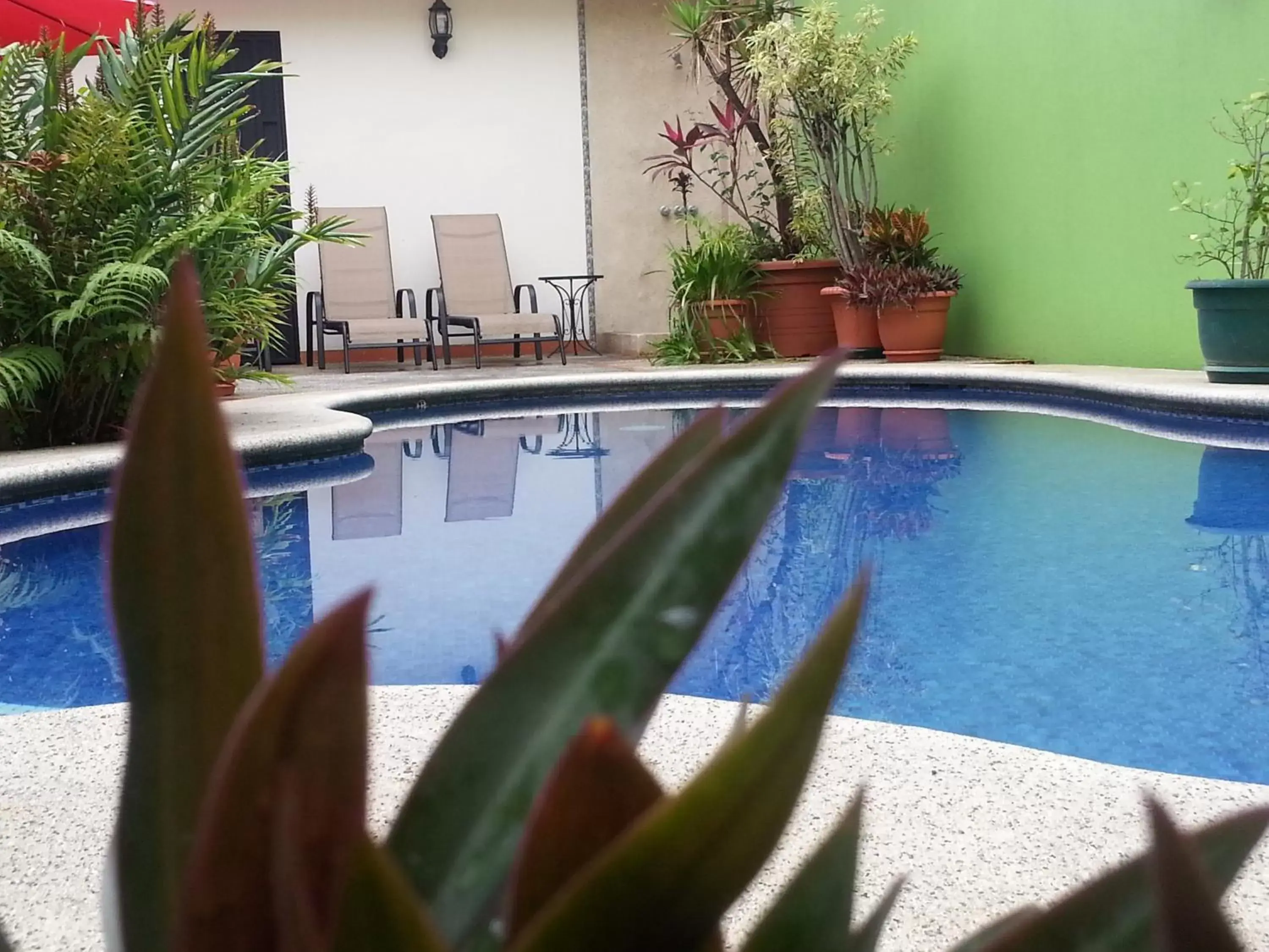 Swimming Pool in Hotel La Guaria Inn & Suites