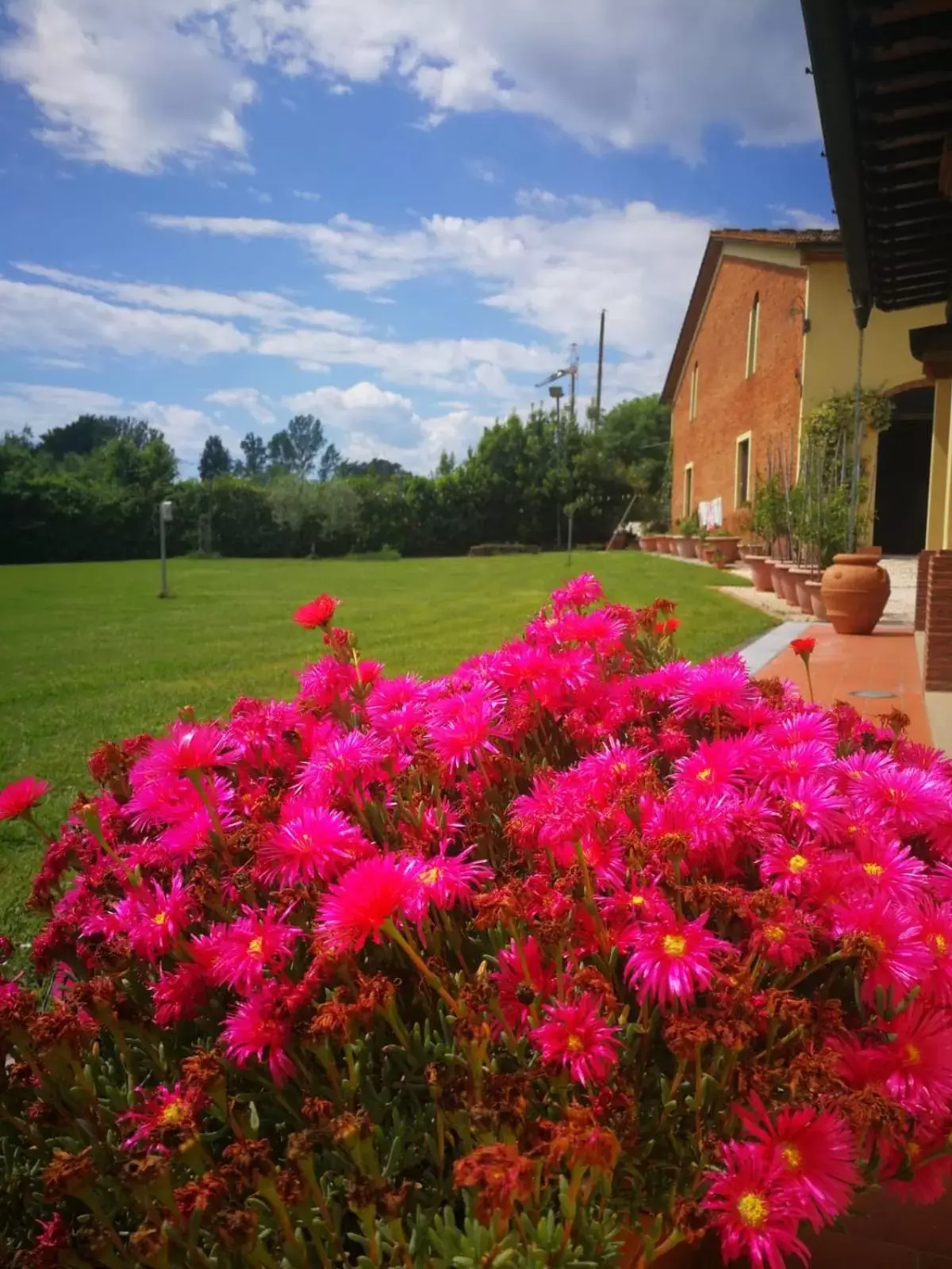 Garden in B&B La Fornace del Sole