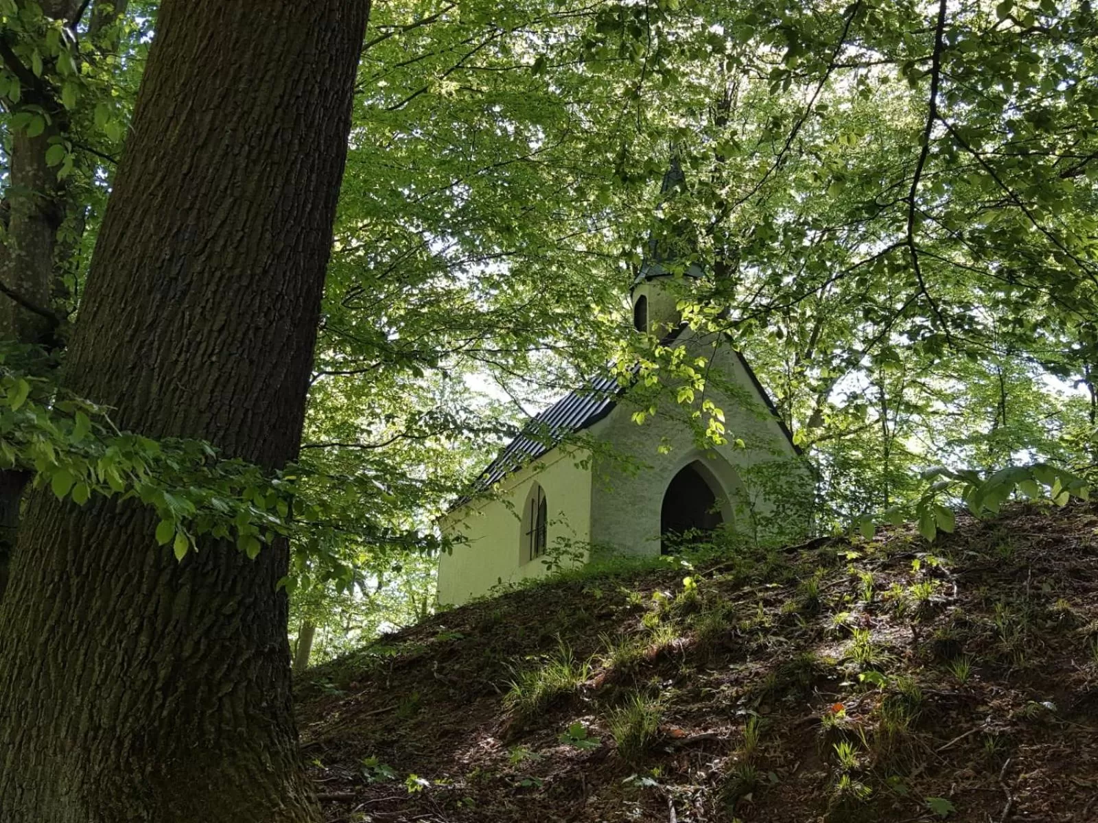 Natural landscape in Sunhill Appartments, klimatisiert
