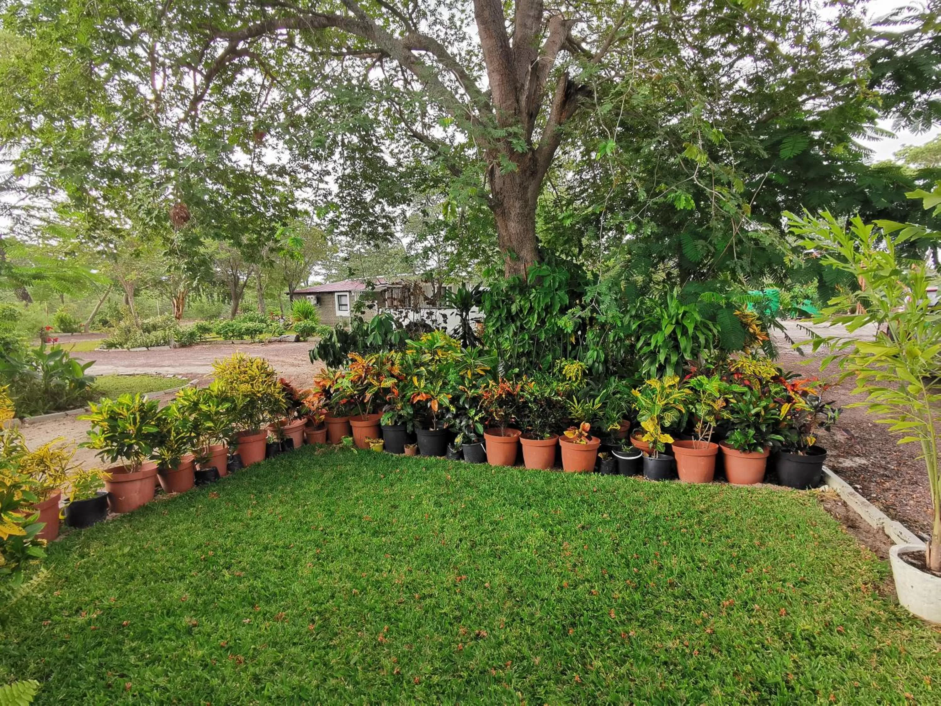 Garden in Happy Forest B&B
