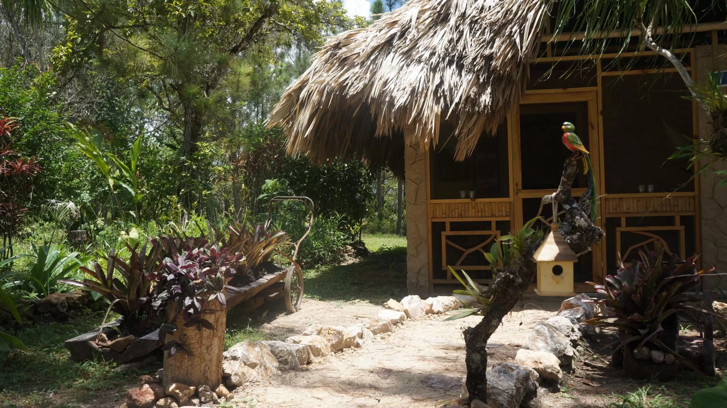 Property building in Pine Ridge Lodge