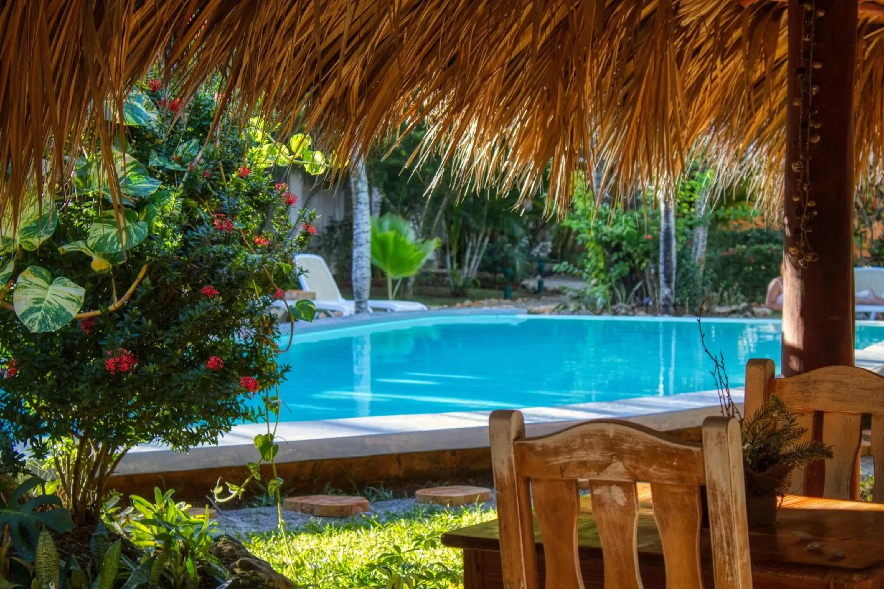 Pool view, Swimming Pool in Hotel La Tortuga