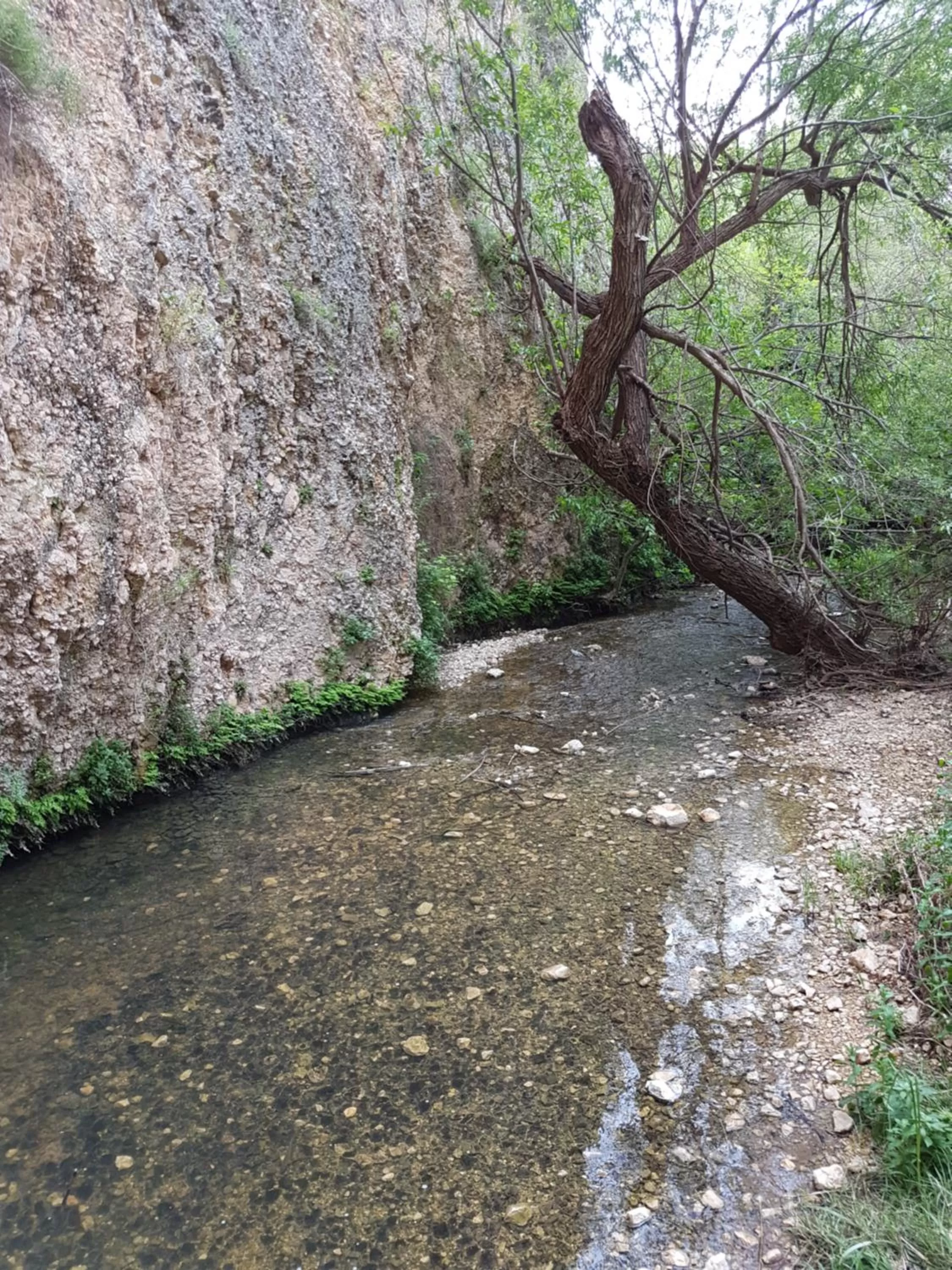 Hiking in Lishansky Since 1936
