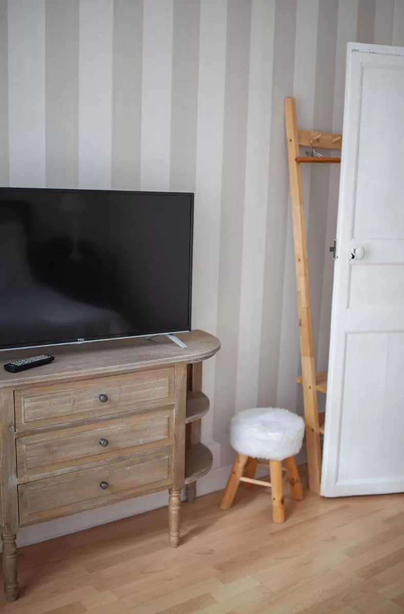 TV and multimedia in Bienvenue Chez Nous