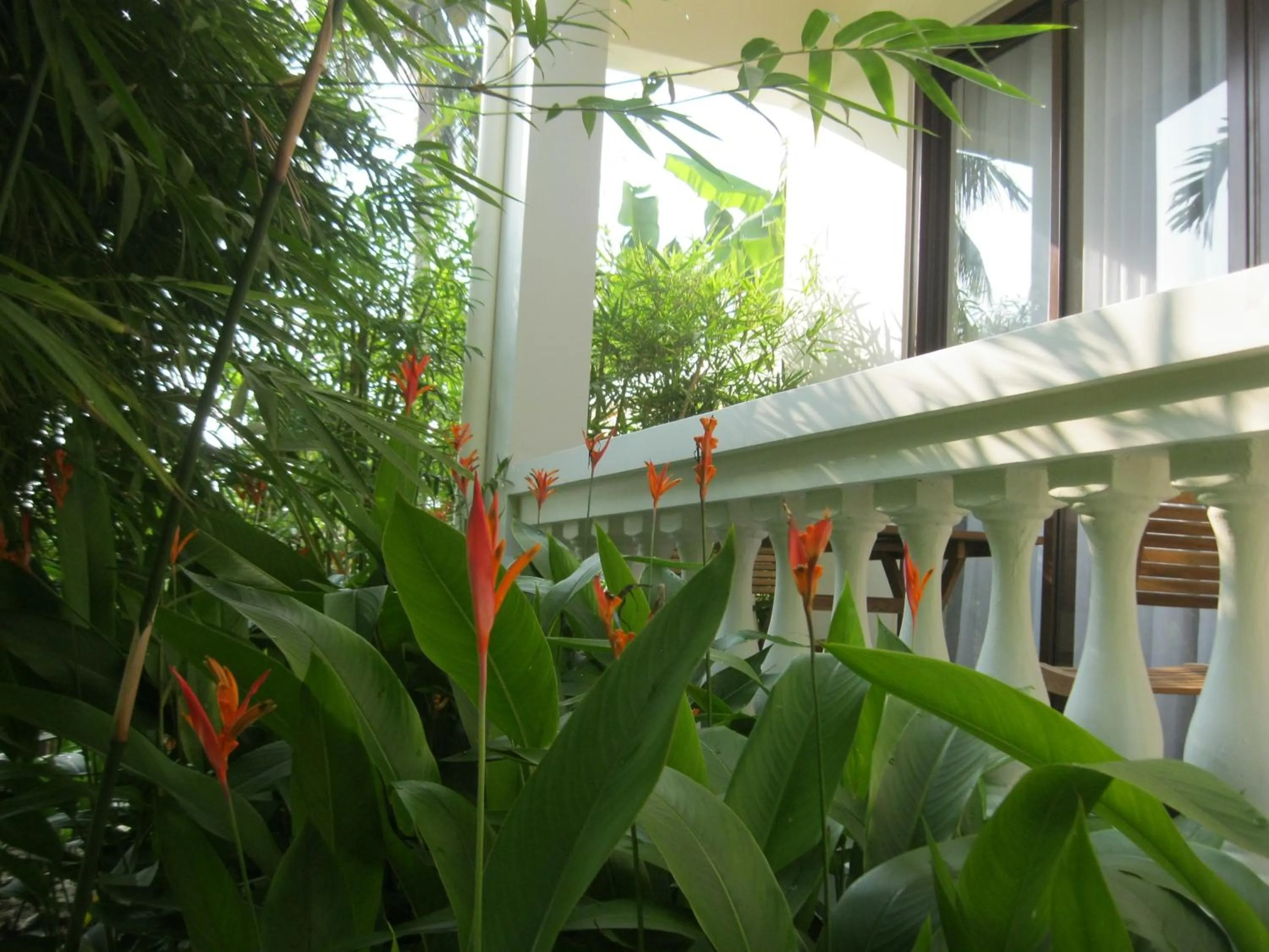 Property building in Palm View Villa