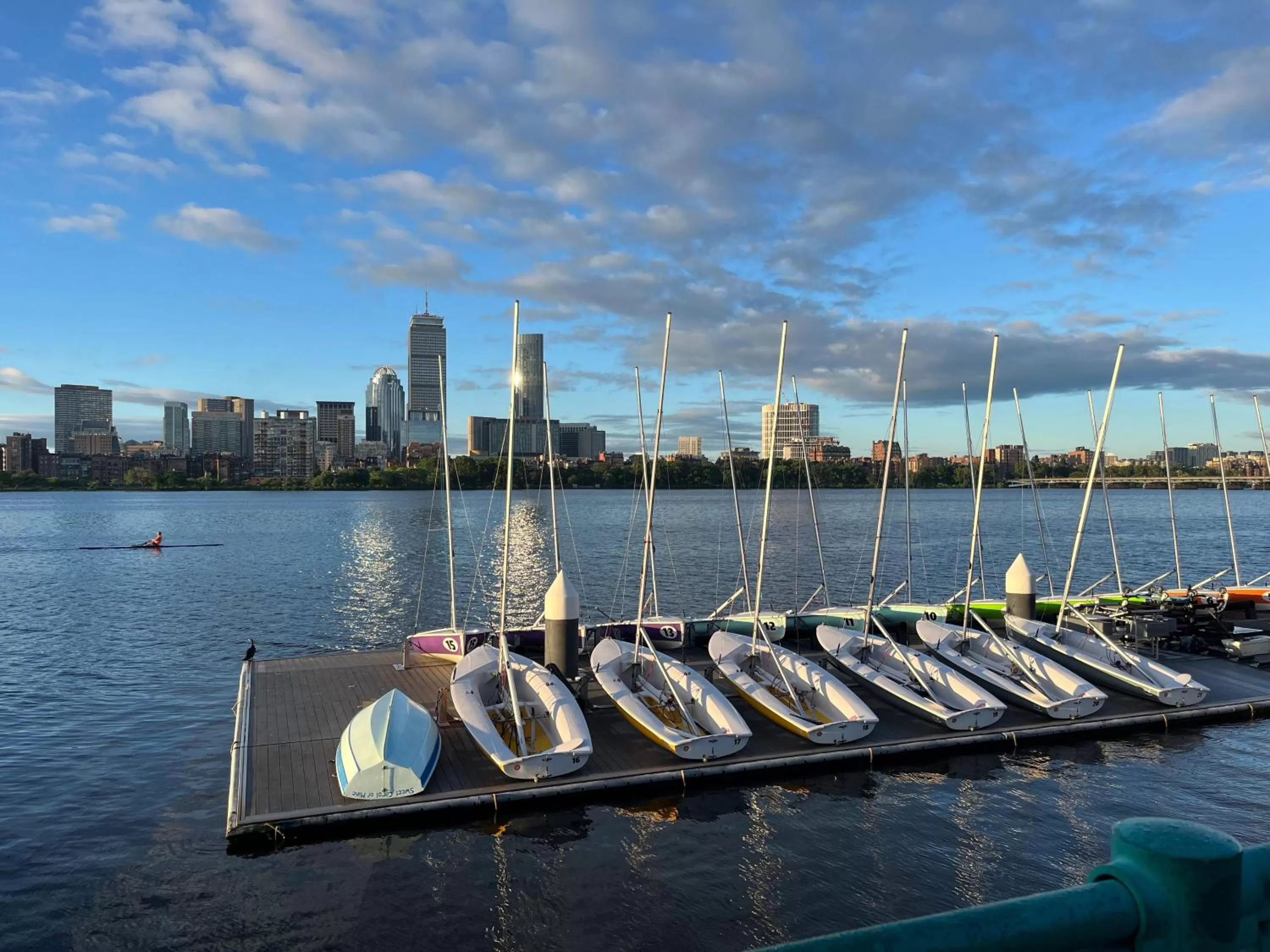 Natural landscape in Hyatt Regency Boston/Cambridge
