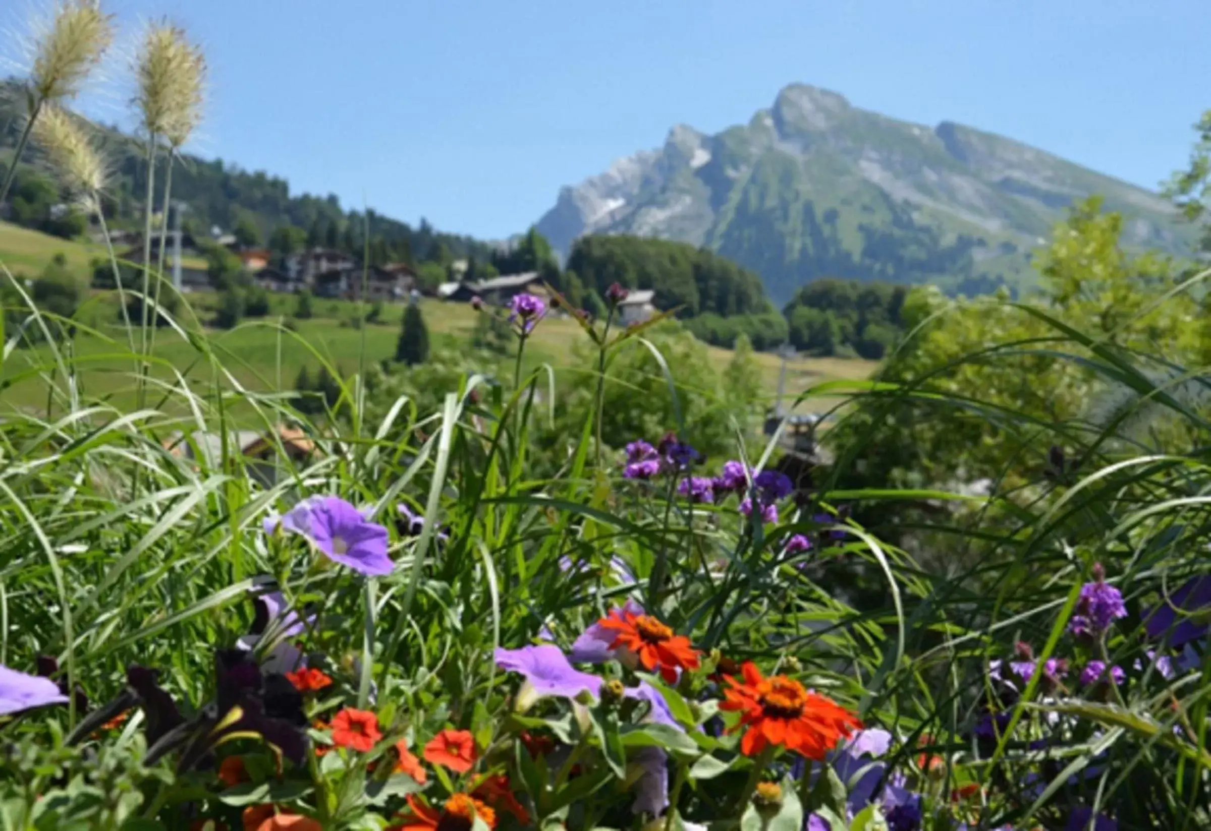 Area and facilities in Hotel La Montagne