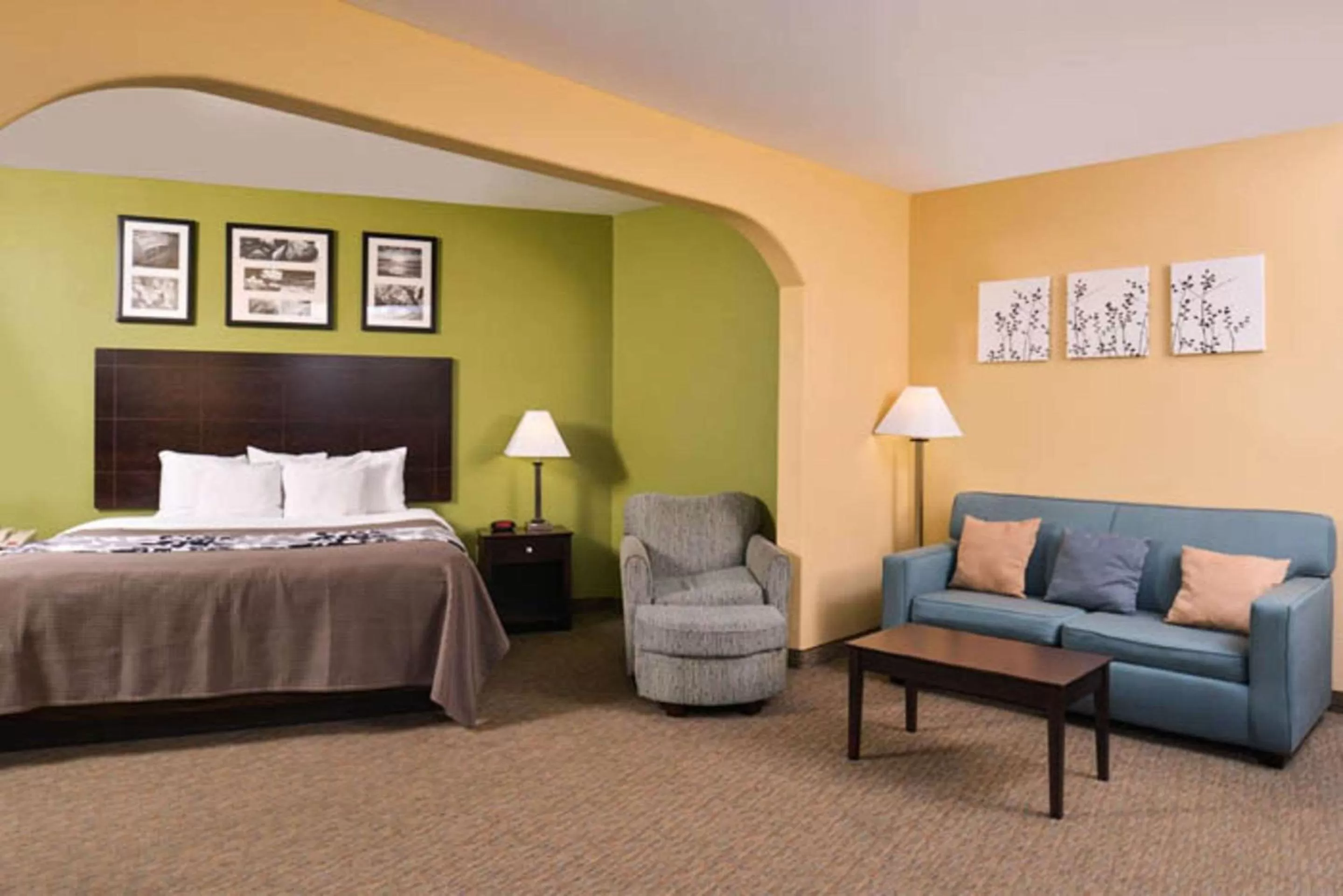 Photo of the whole room, Bed in Sleep Inn and Suites Downtown Houston