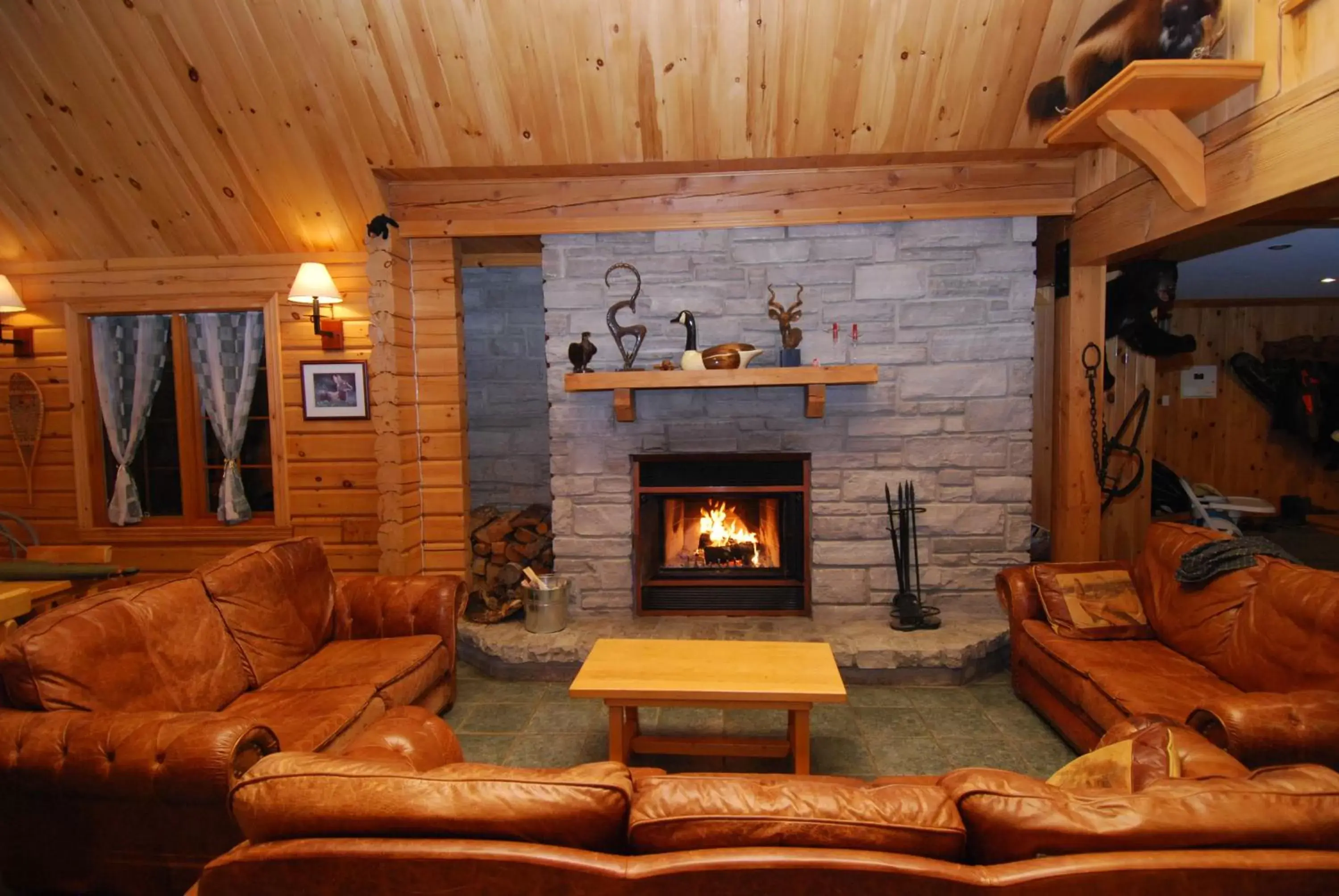 Living room, Lounge/Bar in Camp Taureau - Altaï Canada