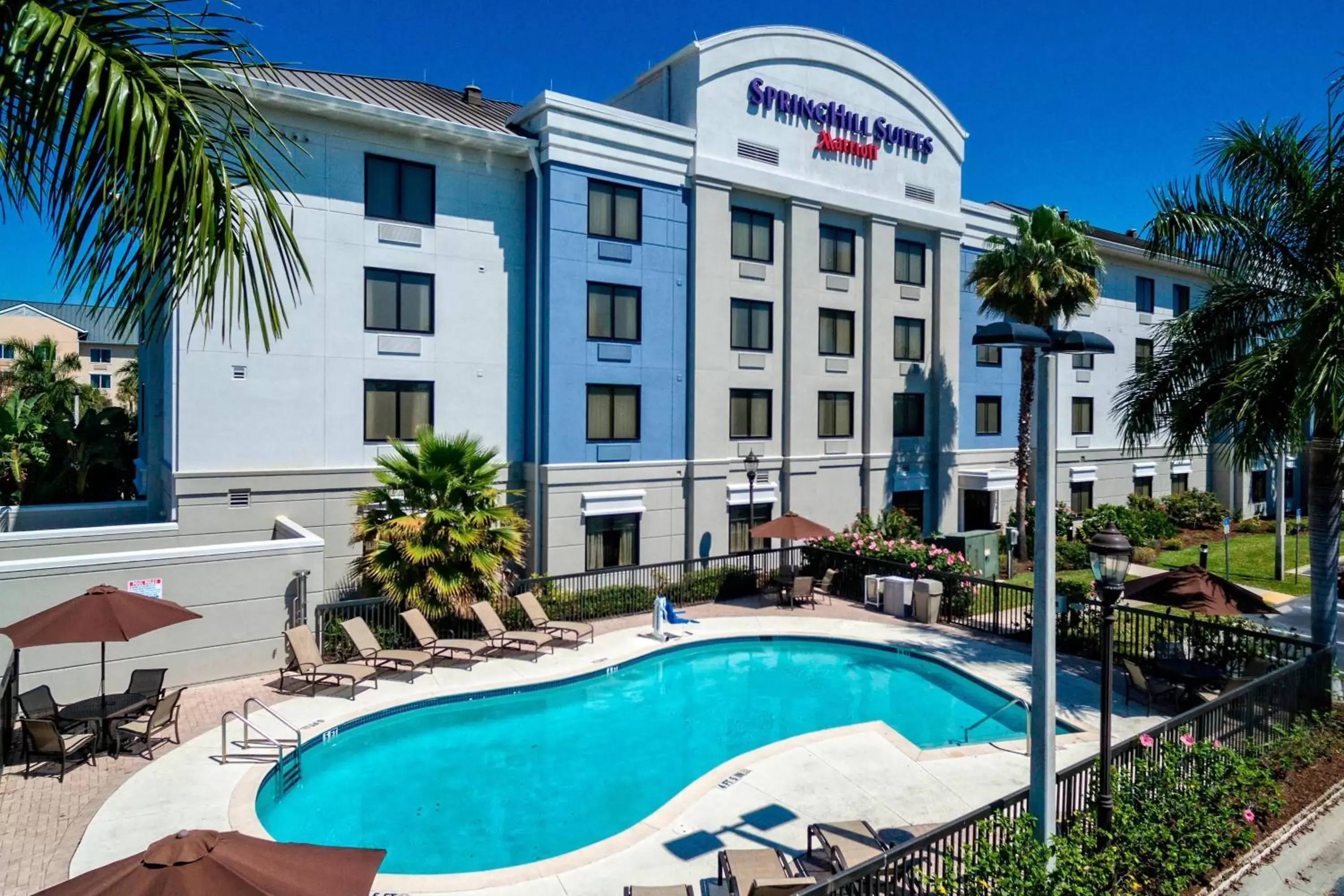 Swimming Pool in SpringHill Suites by Marriott Naples