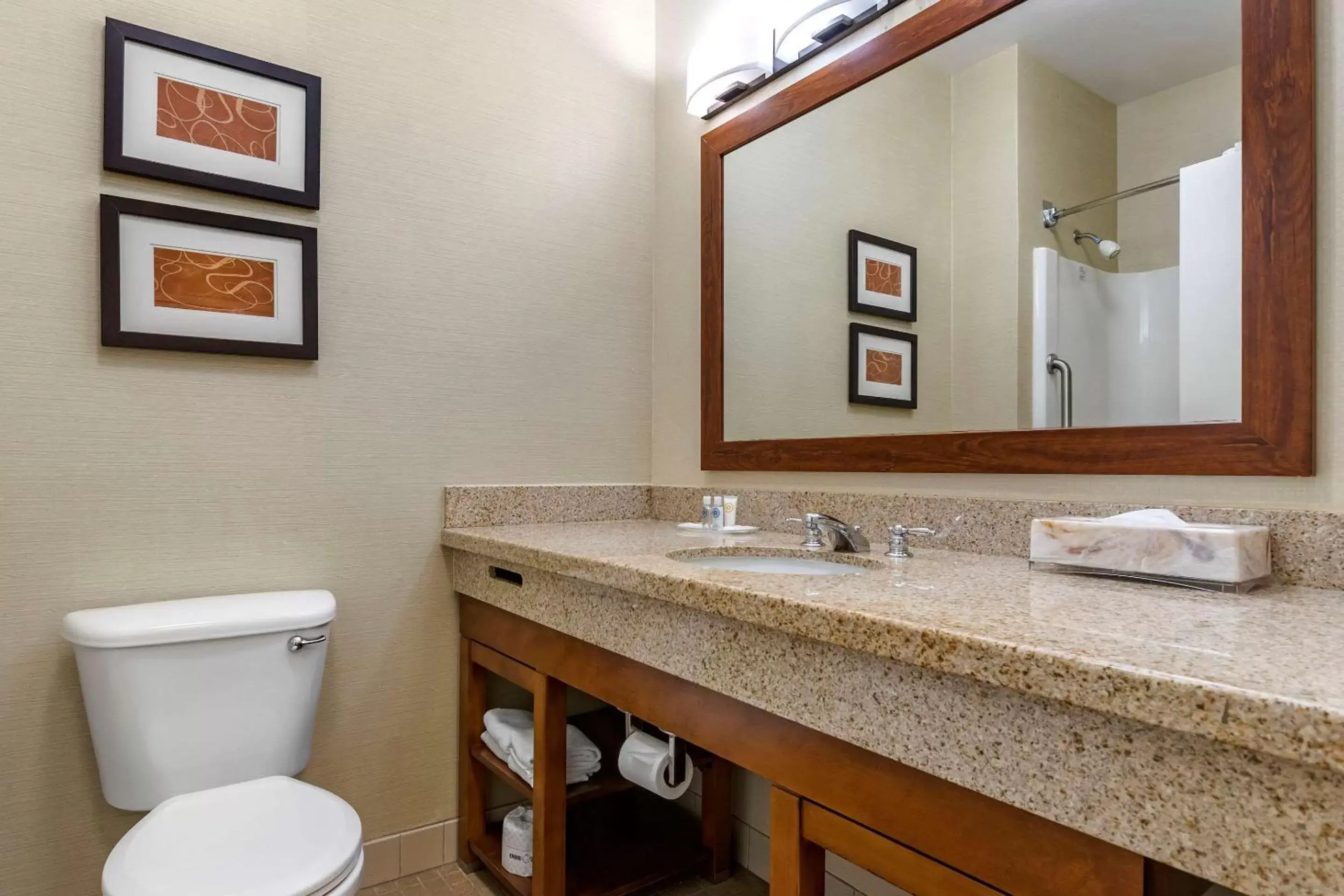 Photo of the whole room, Bathroom in Comfort Suites Coralville I-80