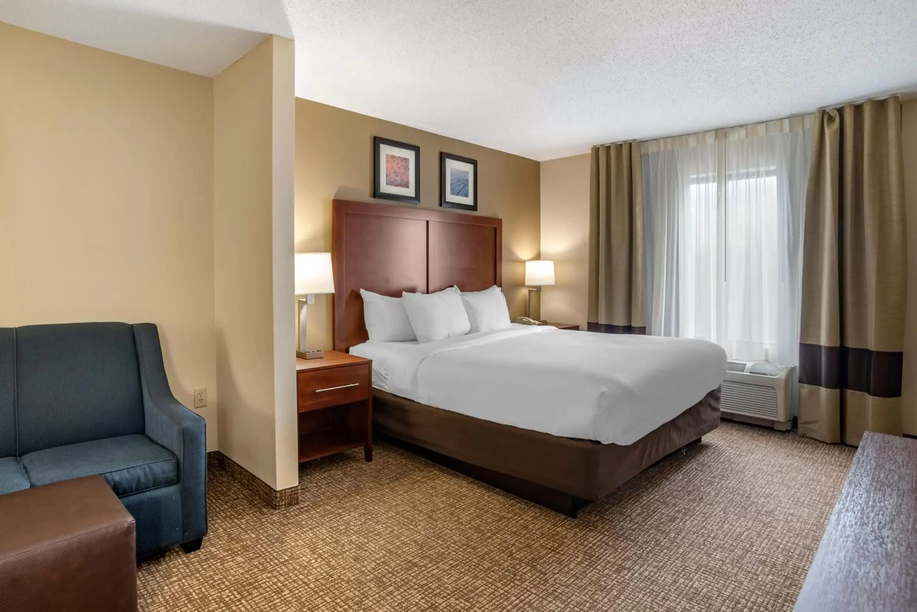 1 Room Suite, 1 King Bed, 2 Person Sofa Bed, Non-Smoking in Comfort Inn & Suites Cambridge 1 Room Suite, 1 King Bed, 2 Person Sofa Bed, Non-Smoking in Comfort Inn & Suites Cambridge