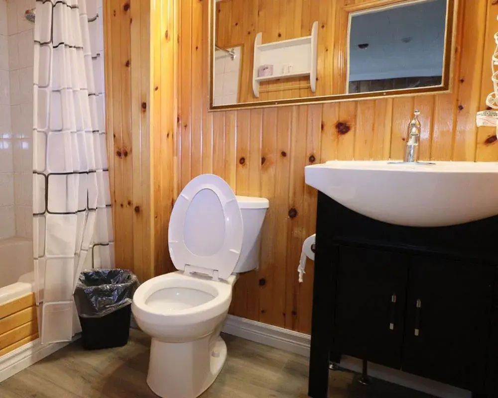 Bathroom in Algonquin Lakeside Inn