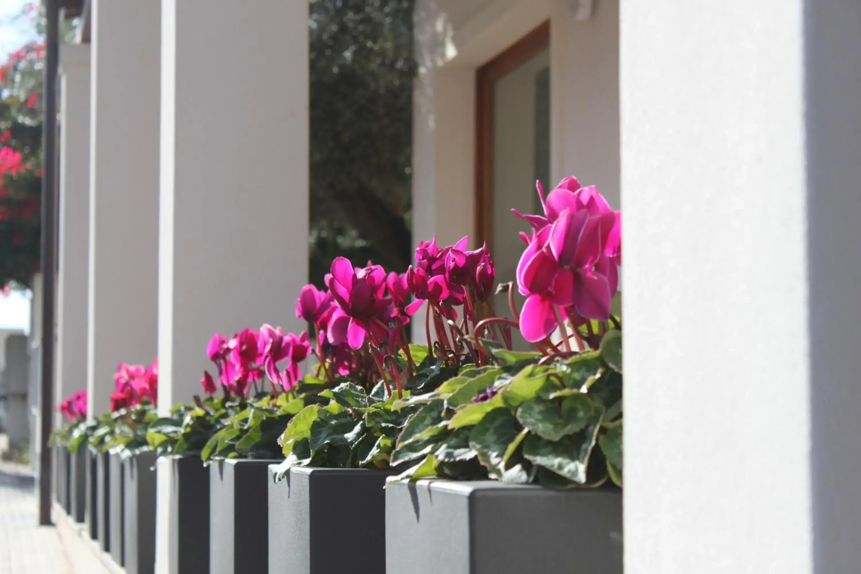 Facade/entrance in Hotel Angedras