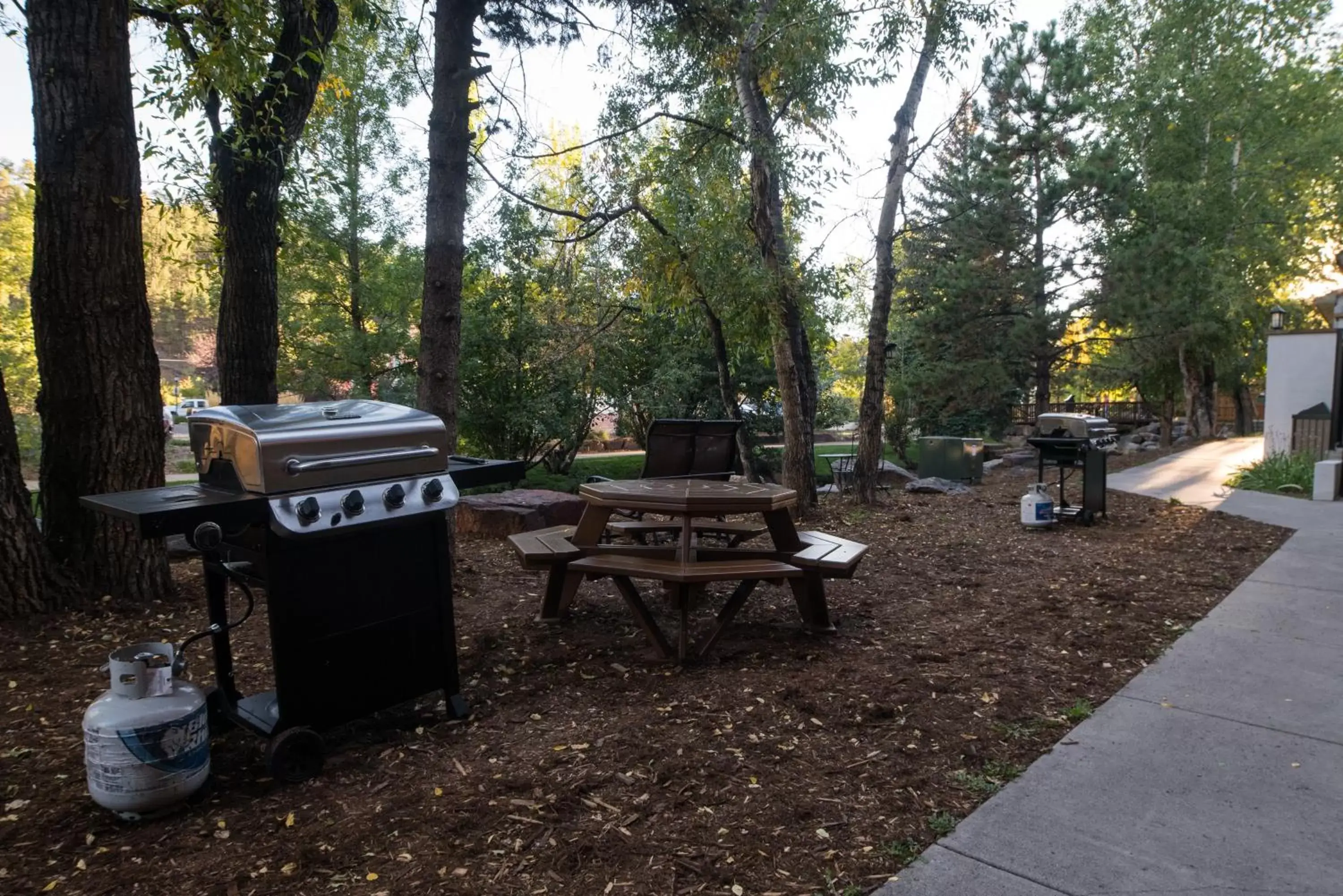 Patio, BBQ Facilities in Silver Moon Inn