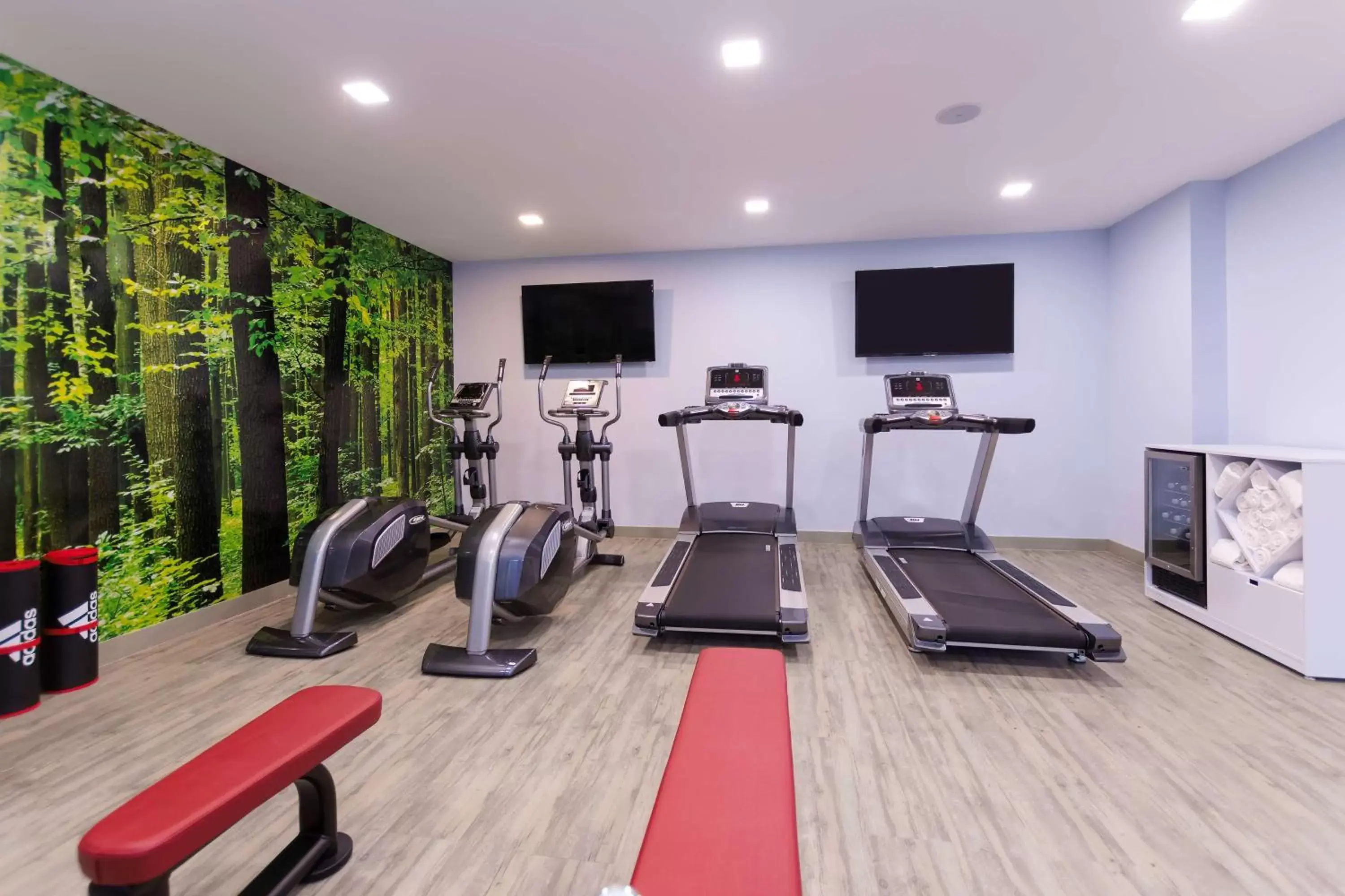 Activities, Fitness Center/Facilities in NH Monterrey La Fe