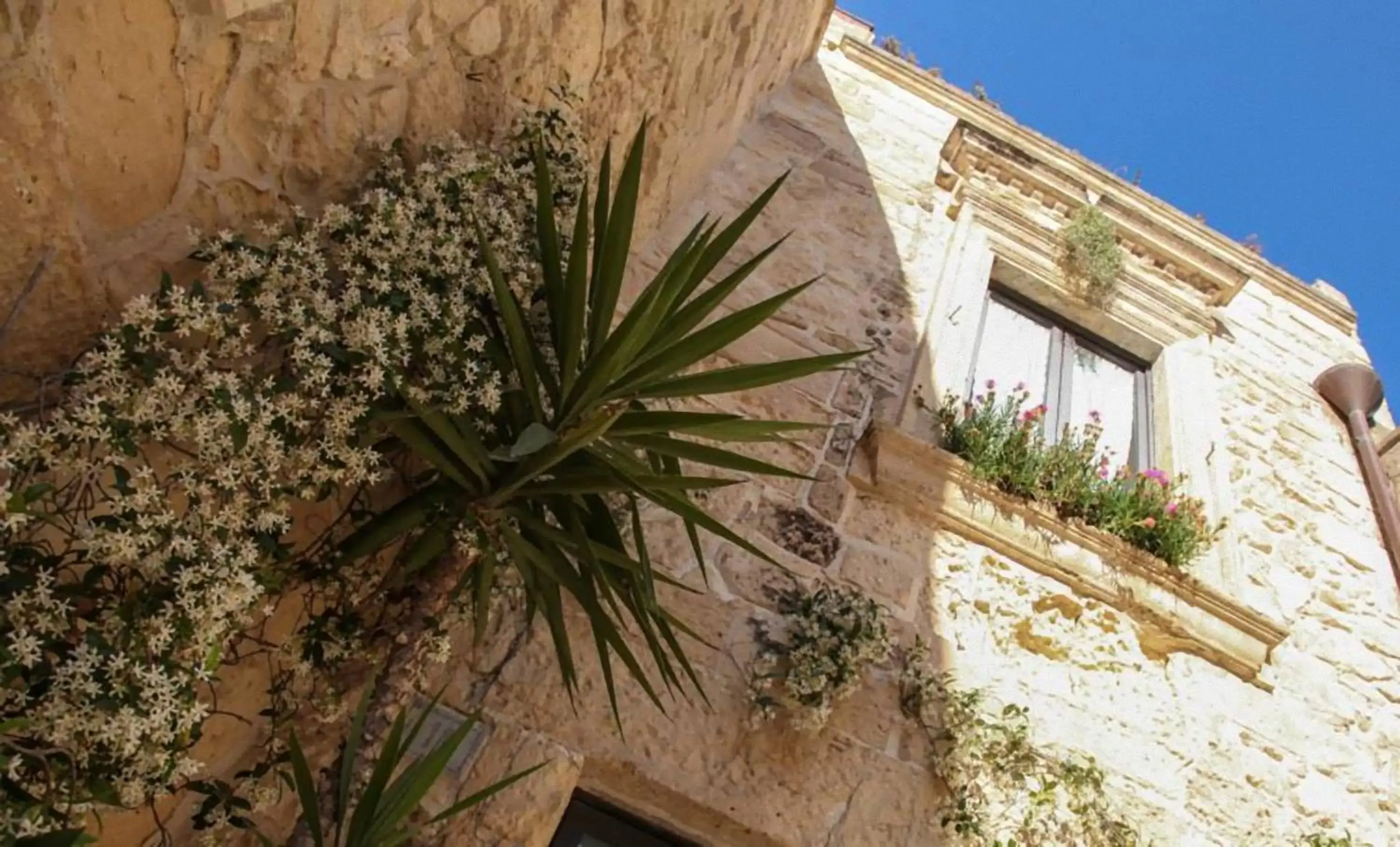 Facade/entrance, Property Building in Chiesa Greca - SIT Rooms & Apartments