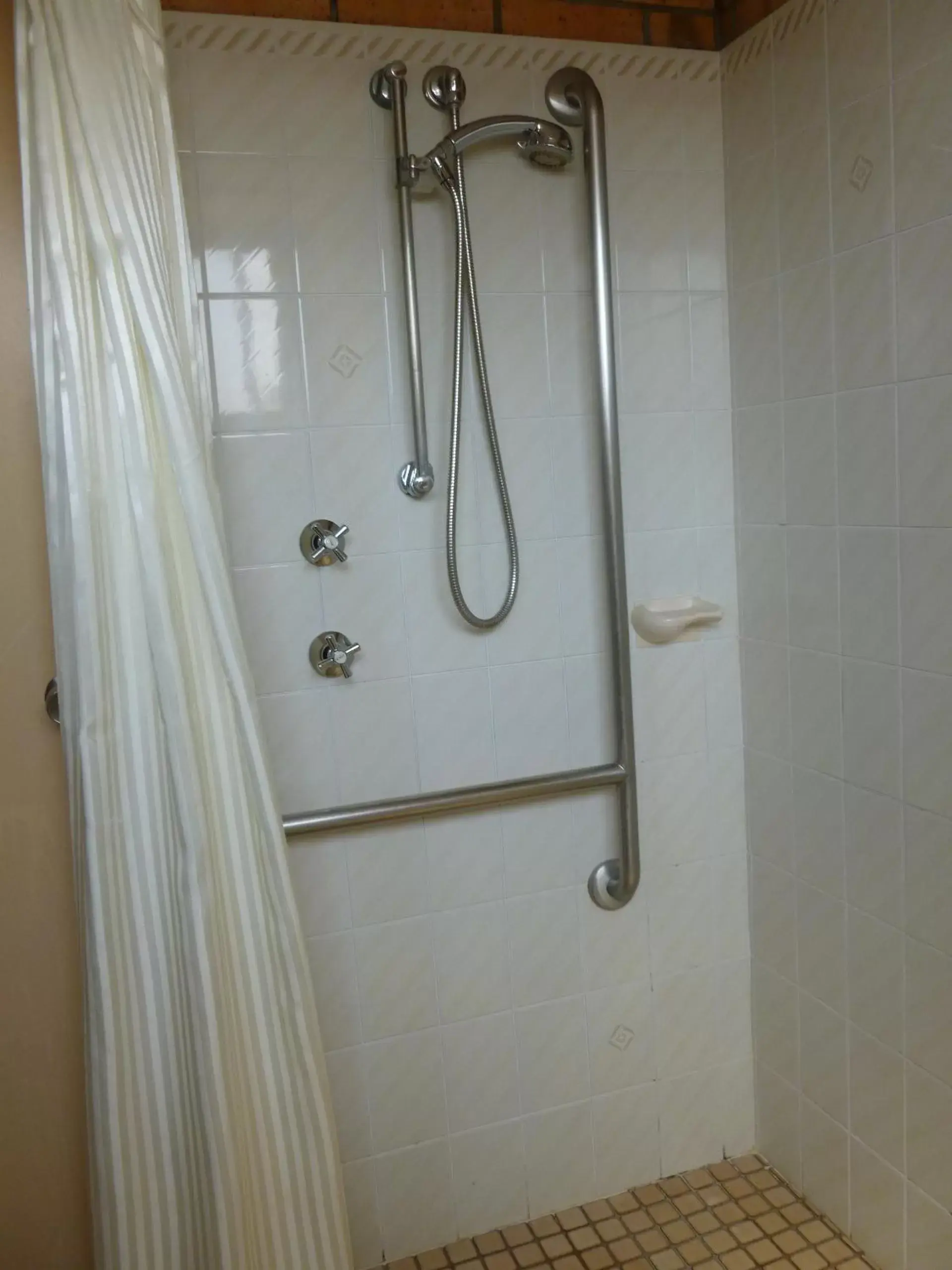 Shower, Bathroom in Royal Palms Motor Inn
