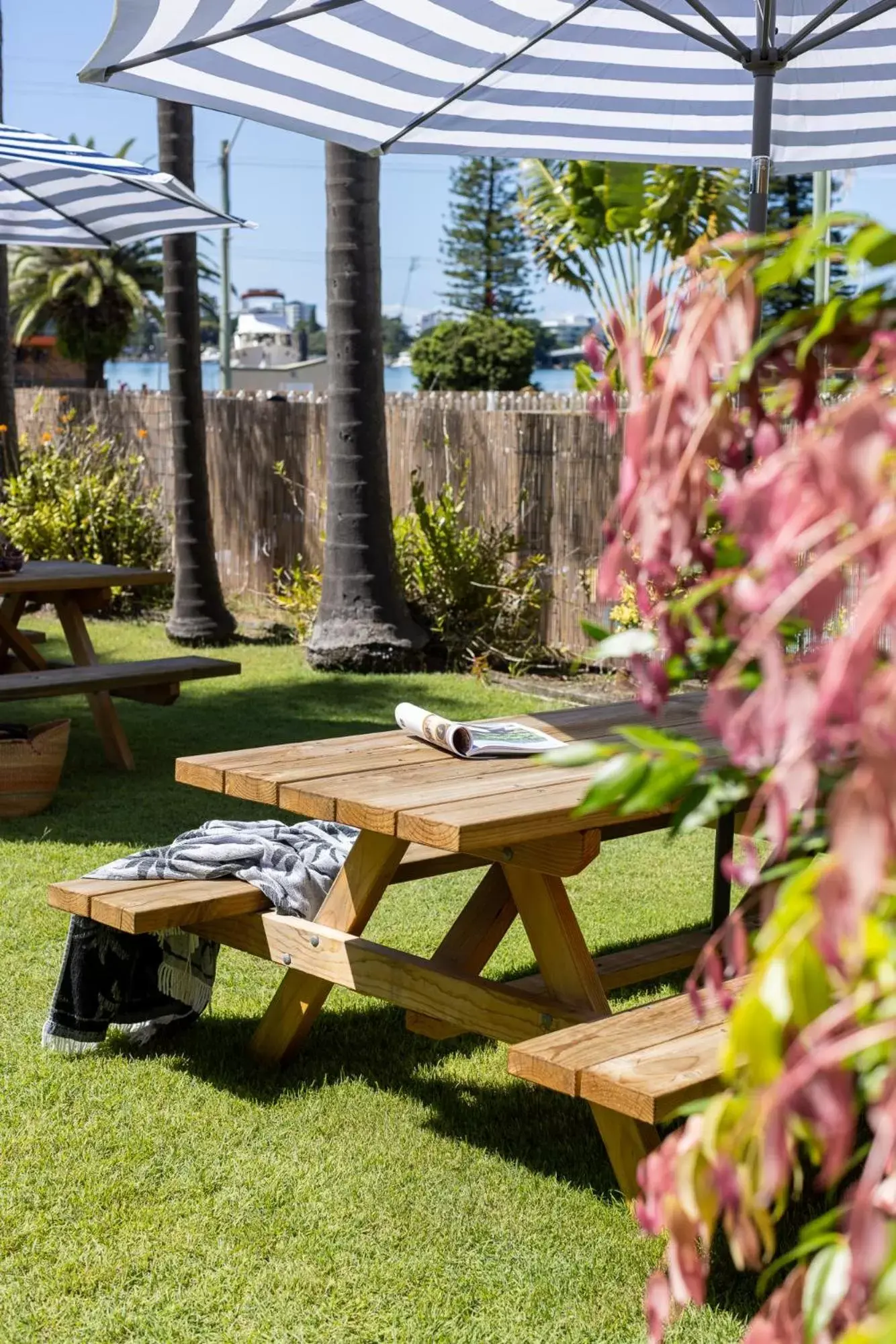 Superior Double or Twin Room in South Pacific Palms Motor Inn Superior Double or Twin Room in South Pacific Palms Motor Inn