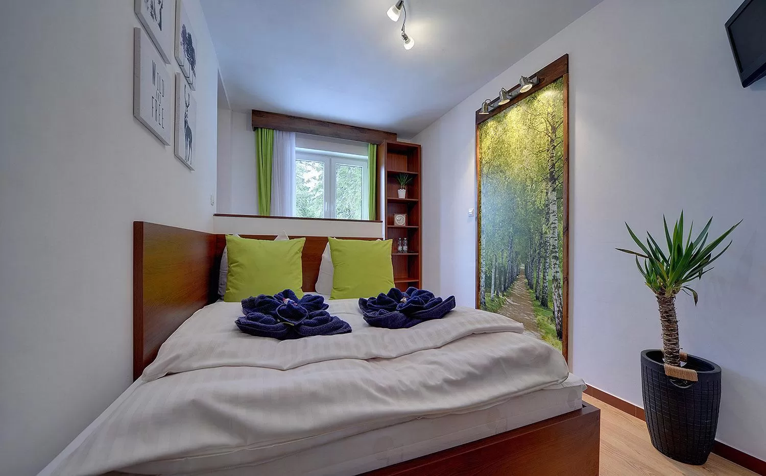 Bed in Safir przy samym WYCIĄGU