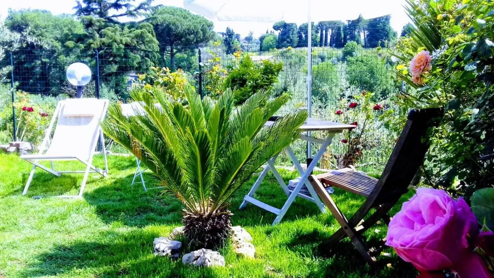 Natural landscape, Garden in Antico Casale Fabrizi