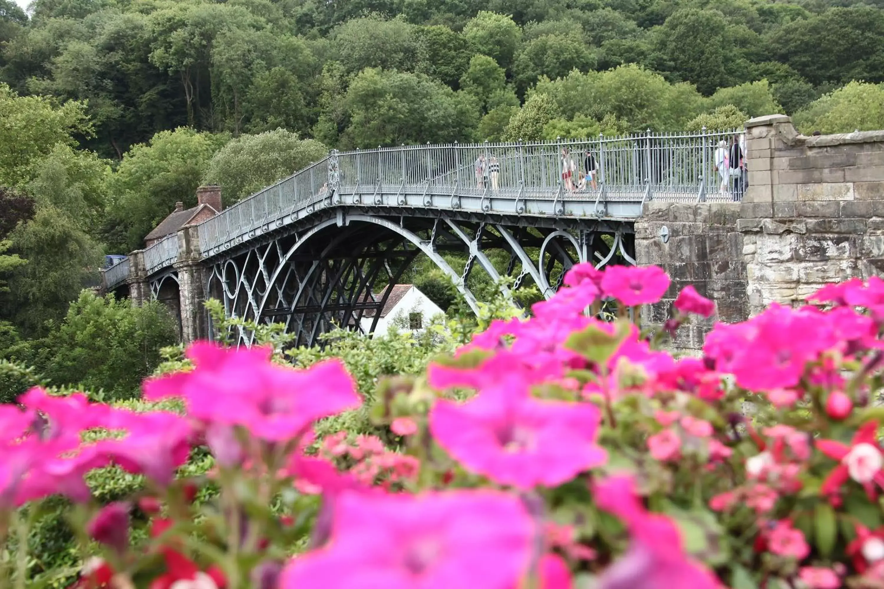 Natural landscape, Property Building in Best Western Valley Hotel