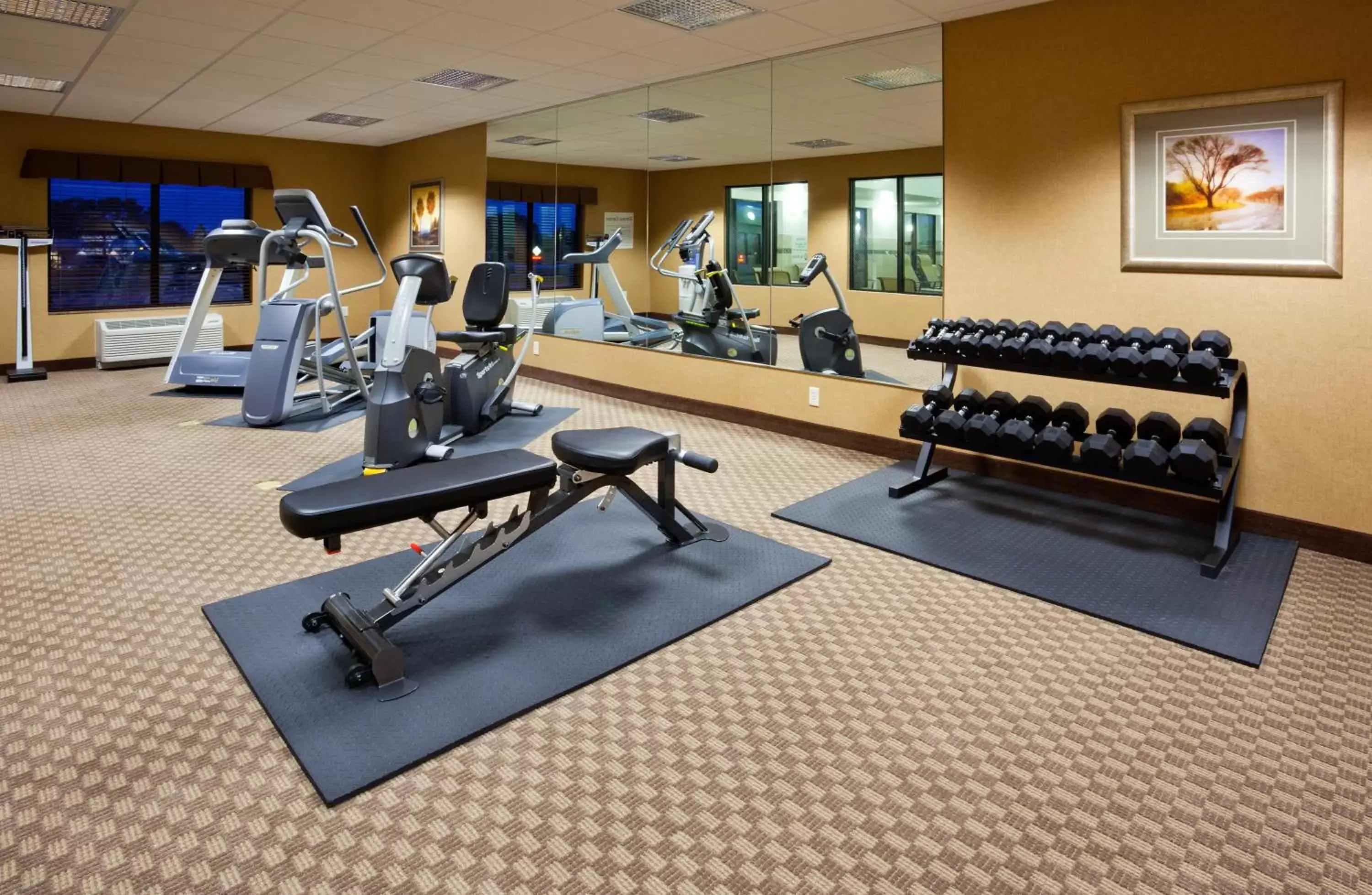 Fitness centre/facilities, Fitness Center/Facilities in Holiday Inn Express & Suites - Mason City, an IHG Hotel