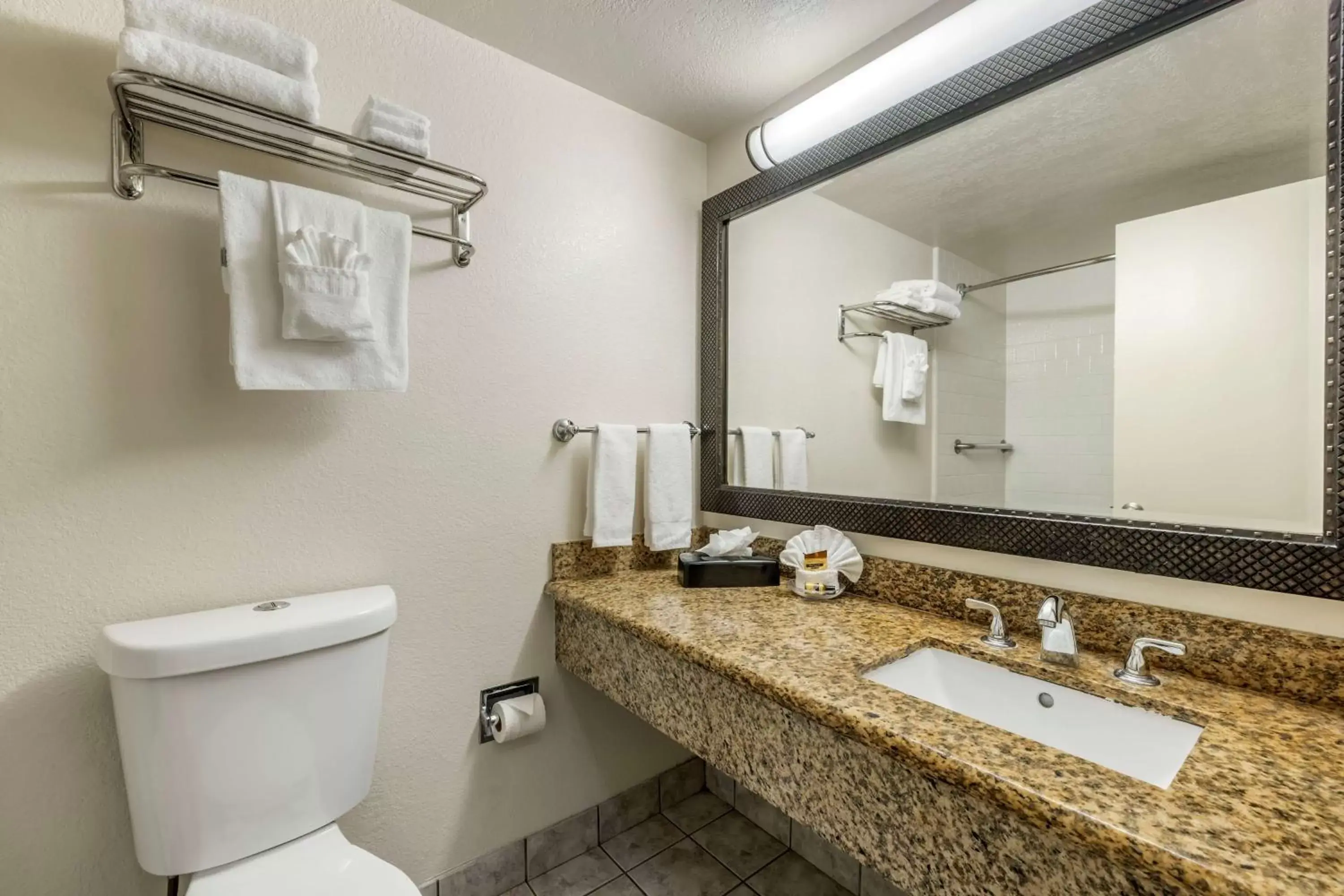 Bathroom in Best Western Plus South Bay Hotel