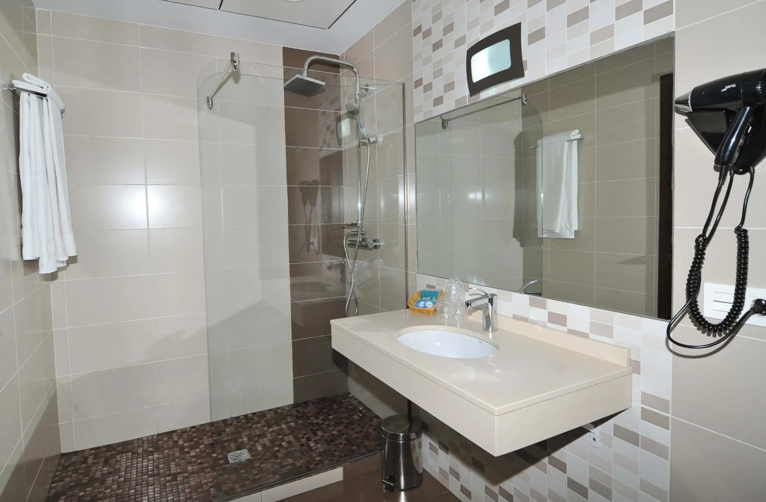 Bathroom in Hotel Ciudad de Plasencia