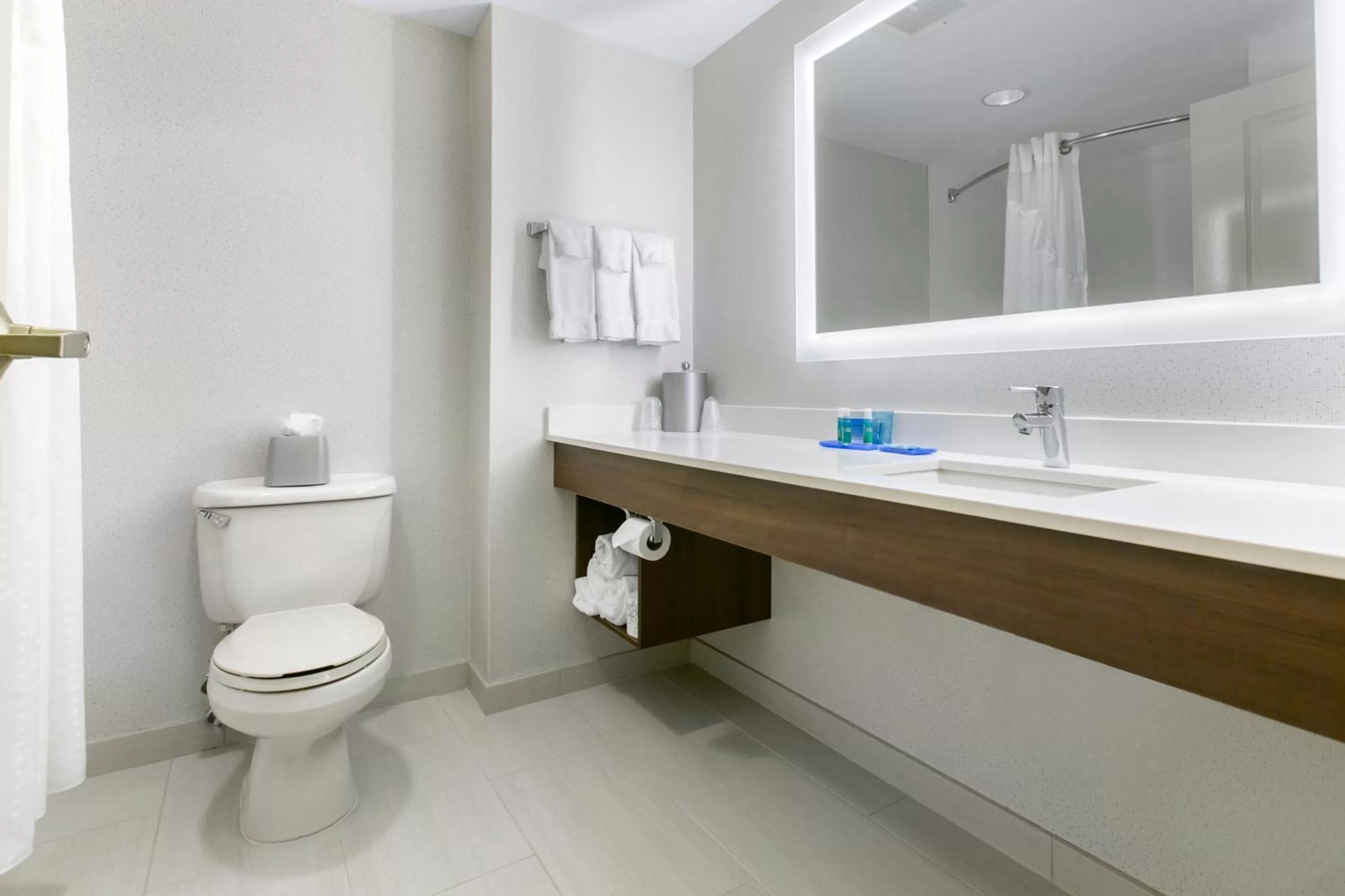 Bathroom in Holiday Inn Express Mount Arlington by IHG