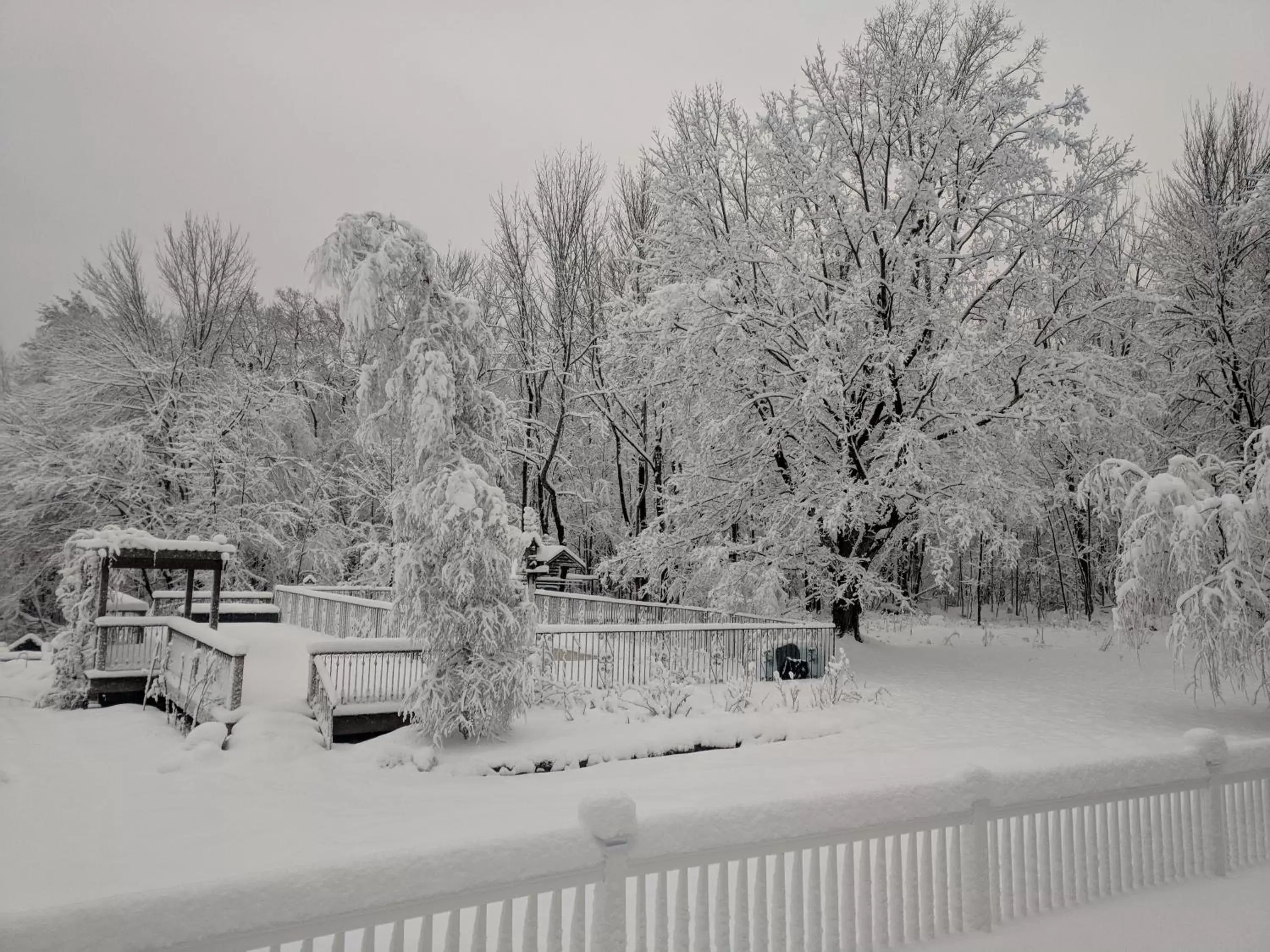 Winter in The Nutmeg Inn