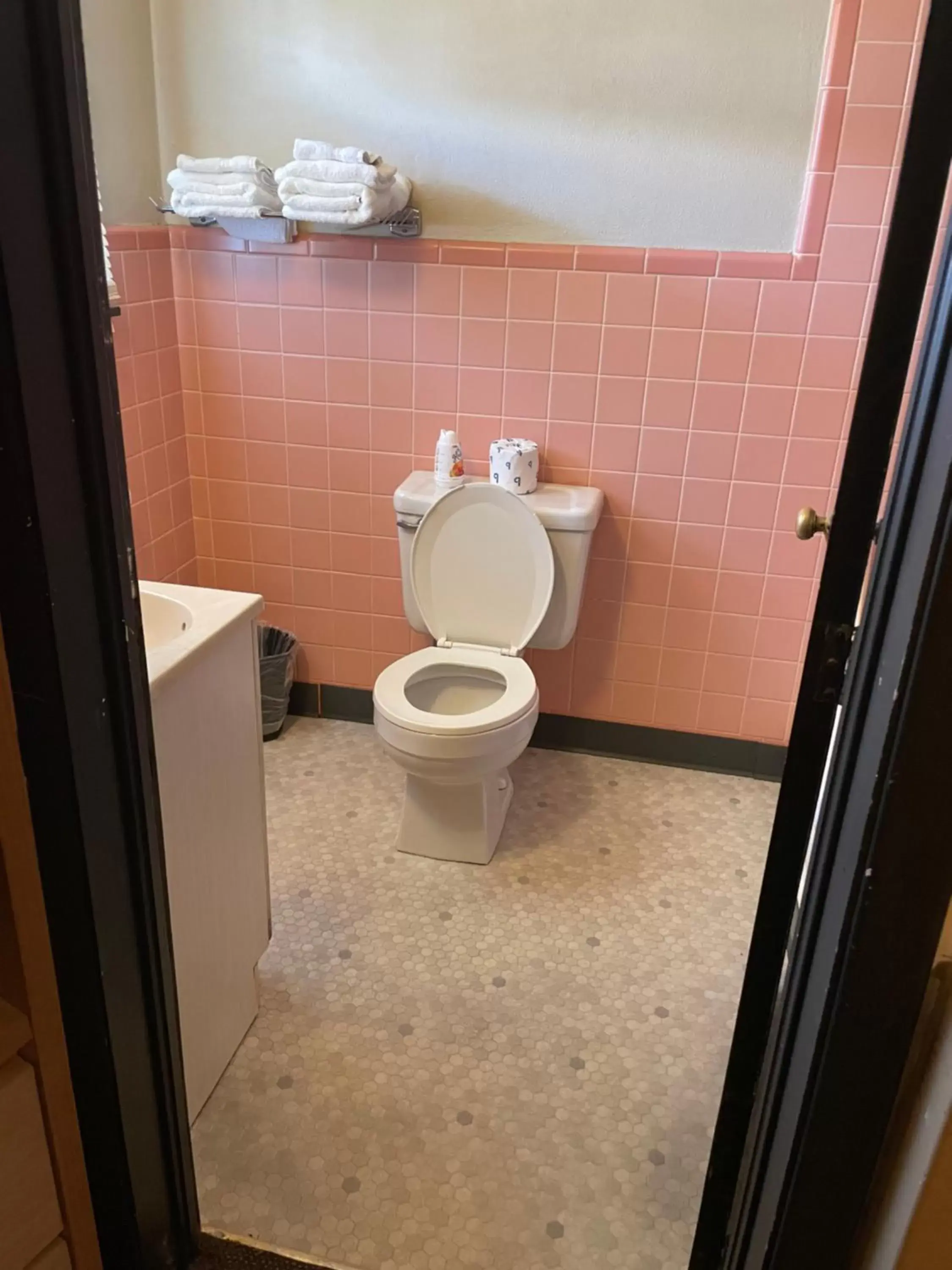 Bathroom in Twin Pine Motel