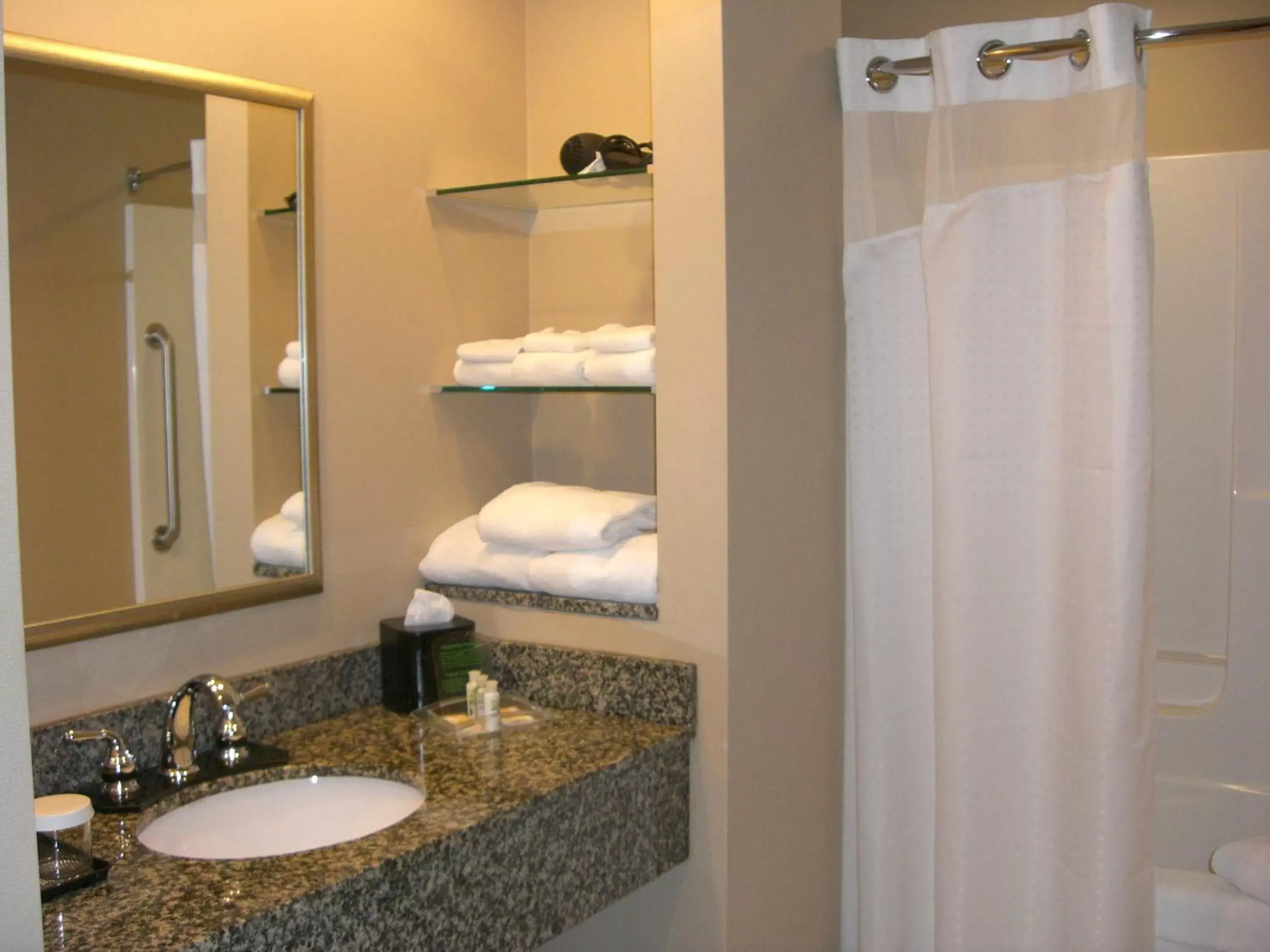 Shower, Bathroom in Holiday Inn St. Paul Northeast - Lake Elmo, an IHG Hotel