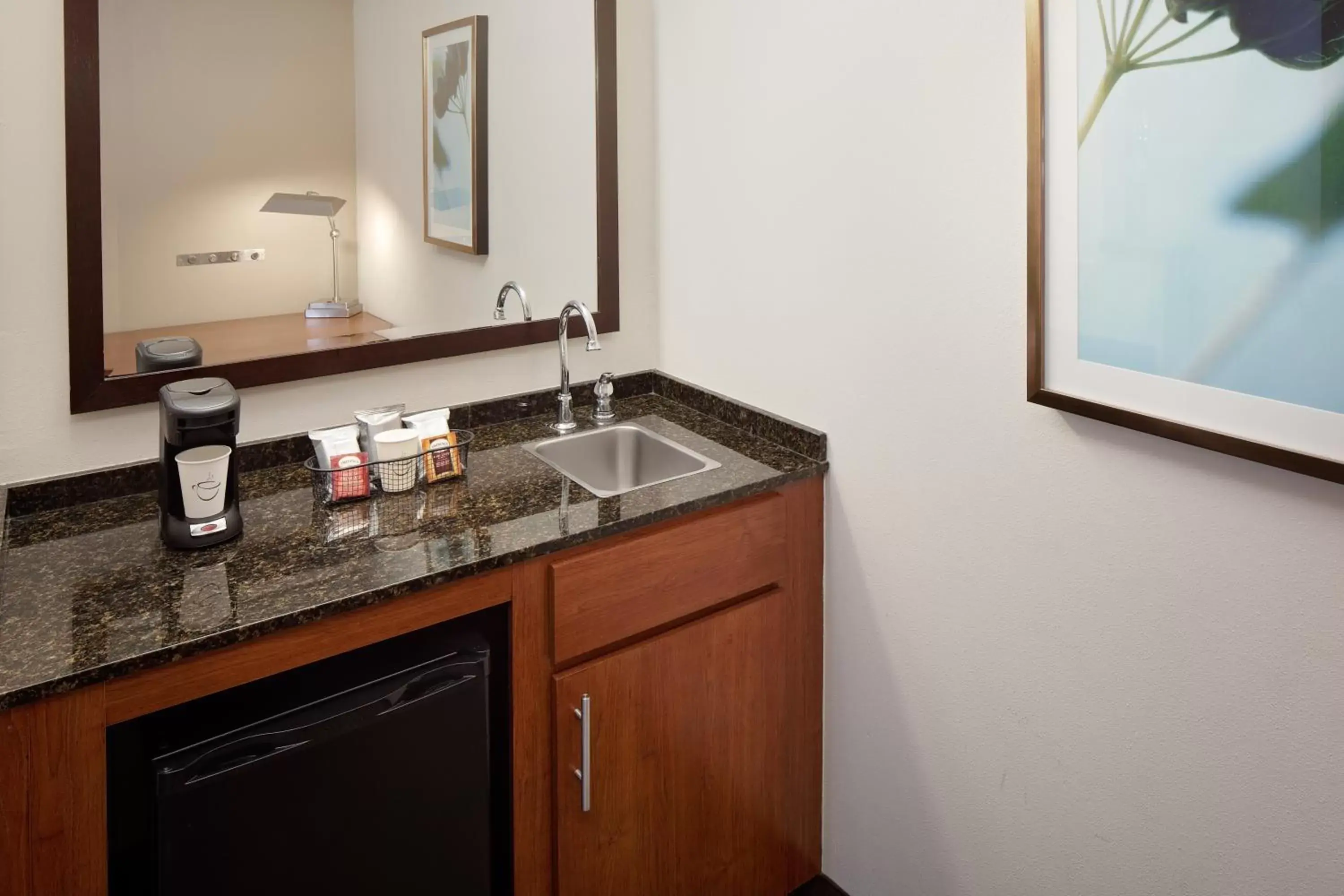 hair dresser, Kitchen/Kitchenette in Hyatt Place Princeton