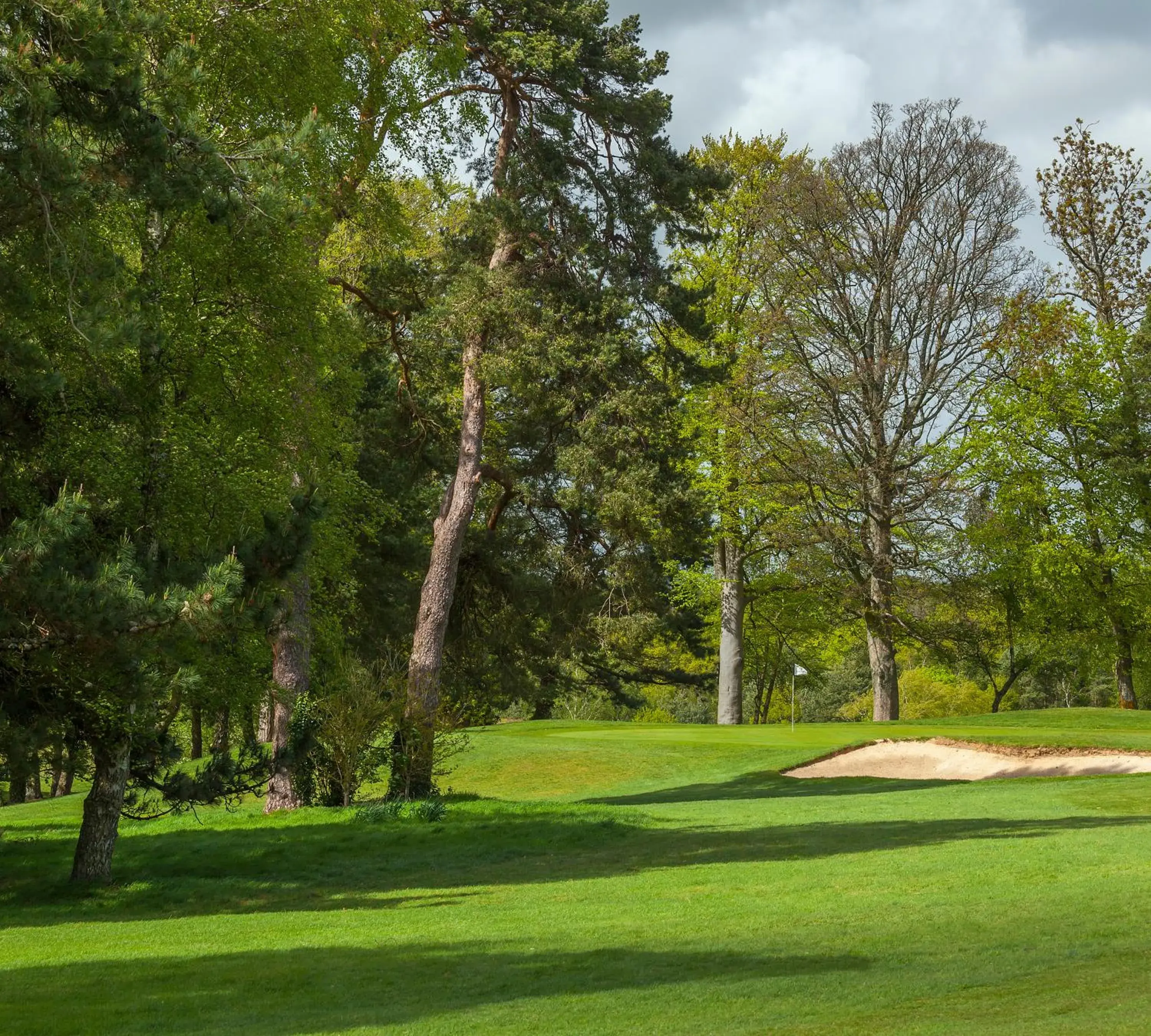 Golfcourse, Garden in Meon Valley Hotel, Golf & Country Club